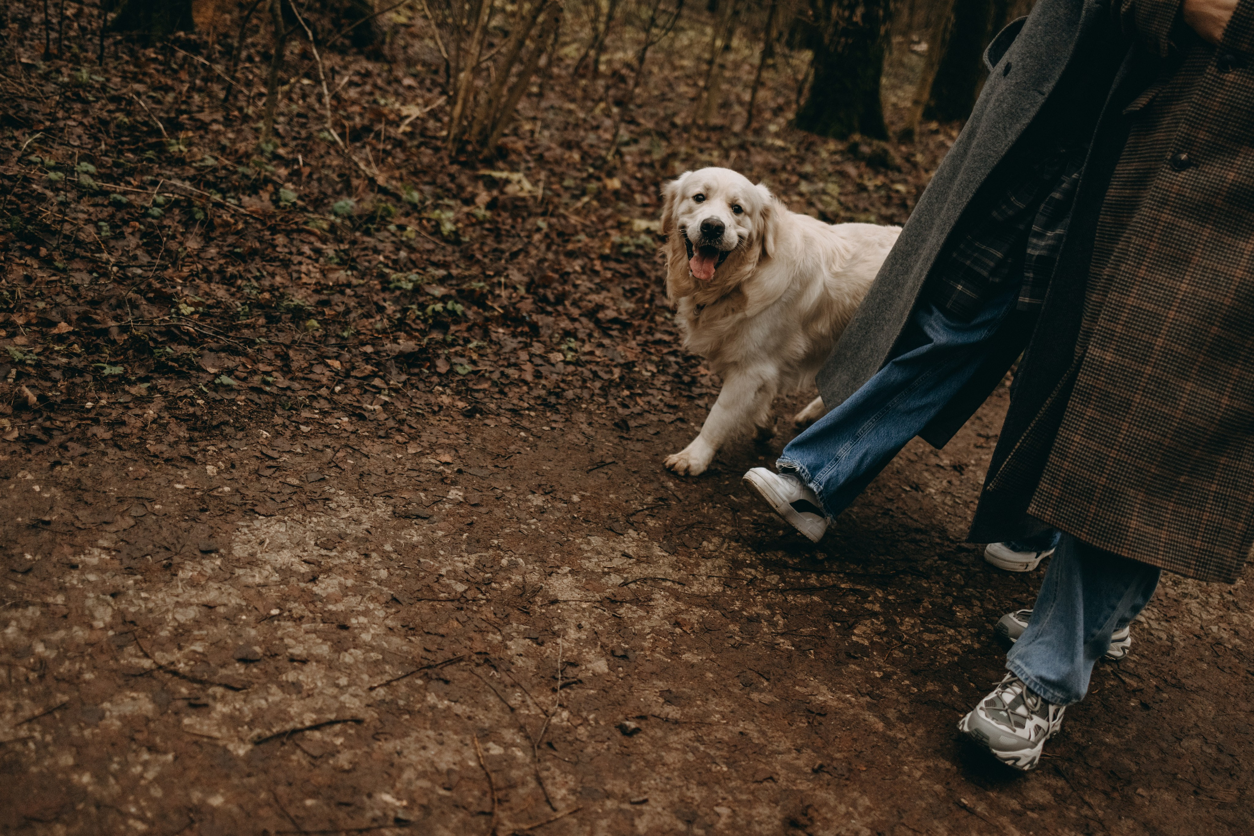 Лаки и его семья. Фотограф — Анималист | Санкт-Петербург