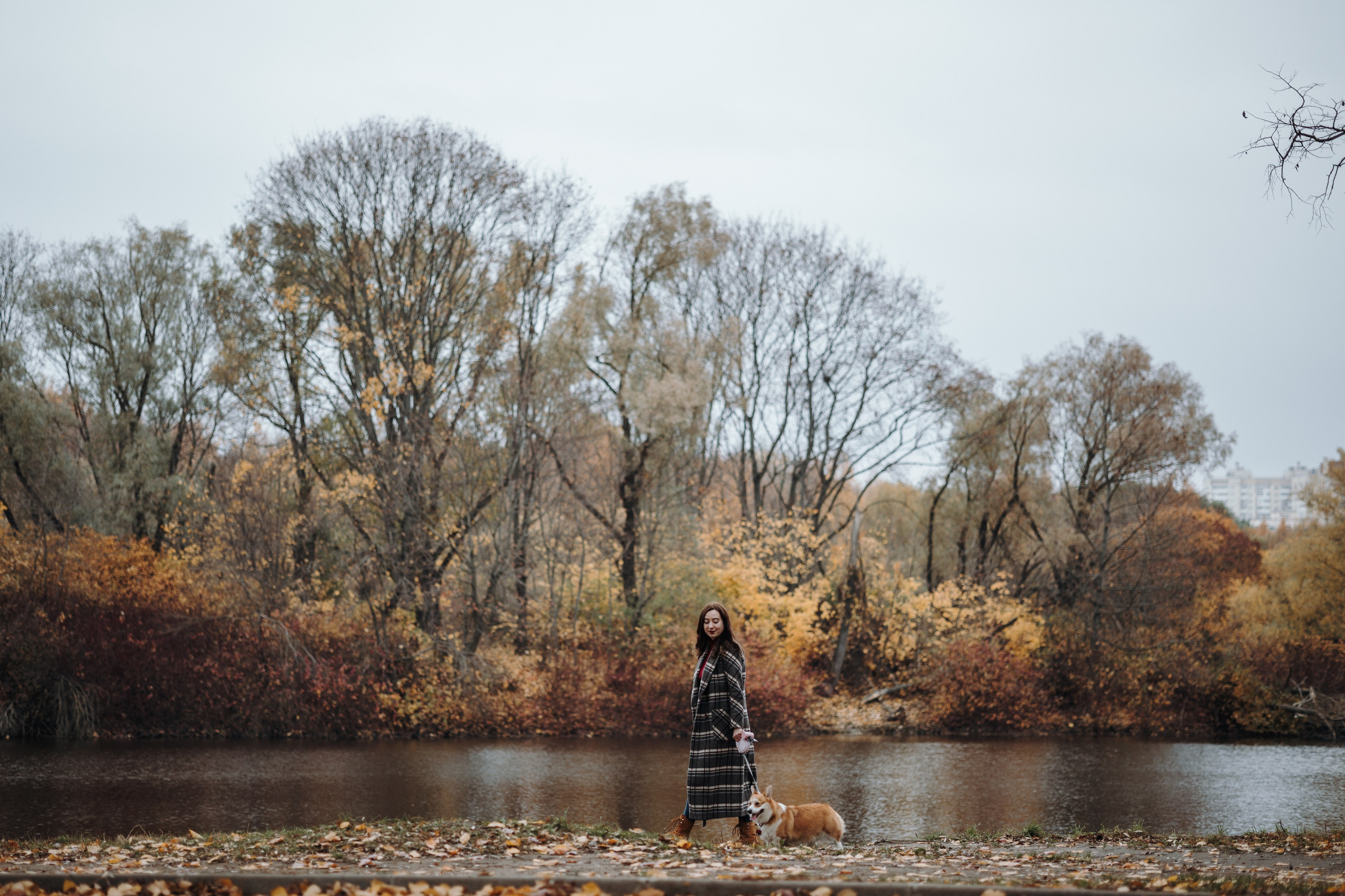 Юля и Терри. Фотограф — Анималист | Санкт-Петербург