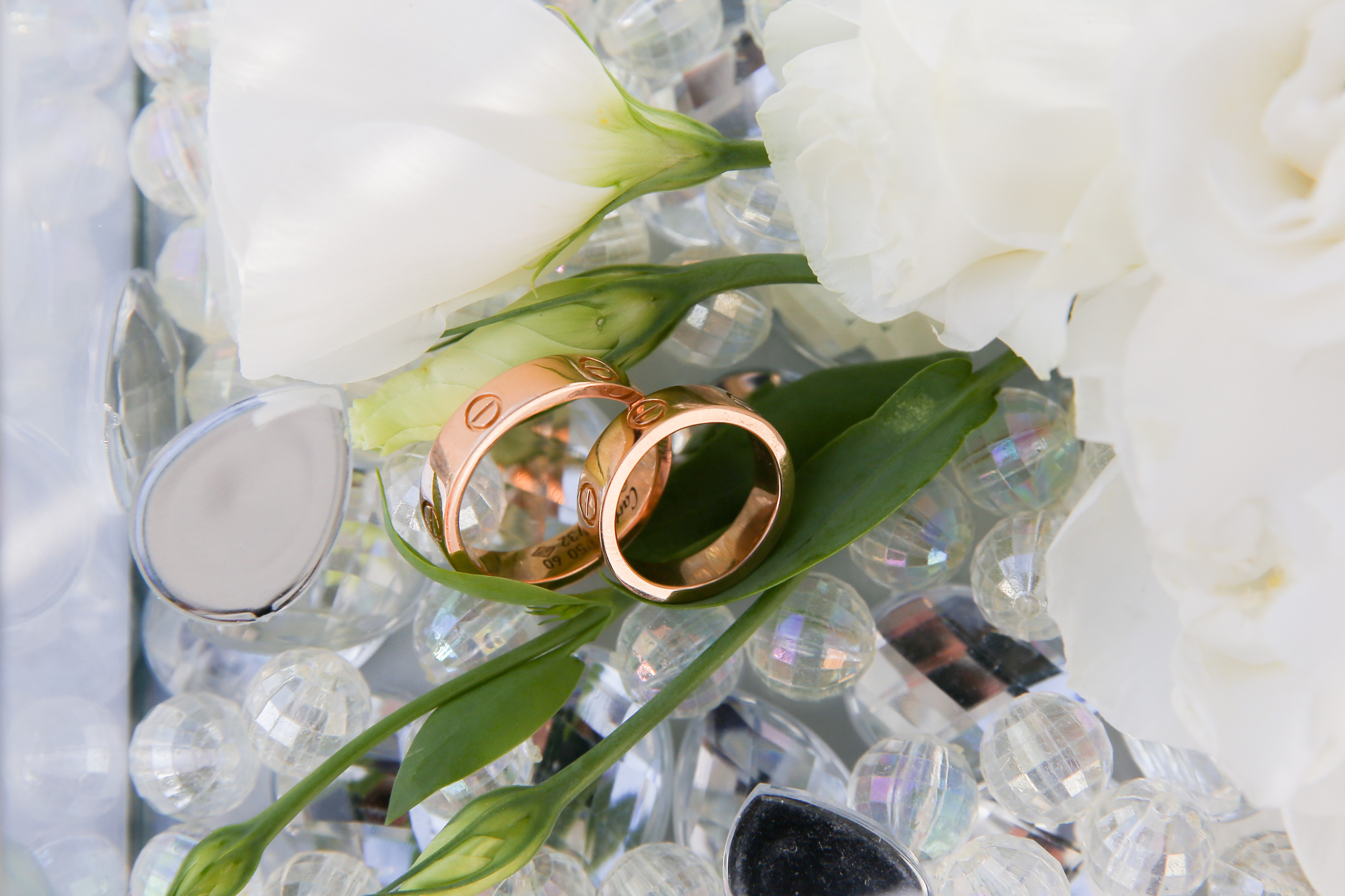 Данил и Диана. Главная