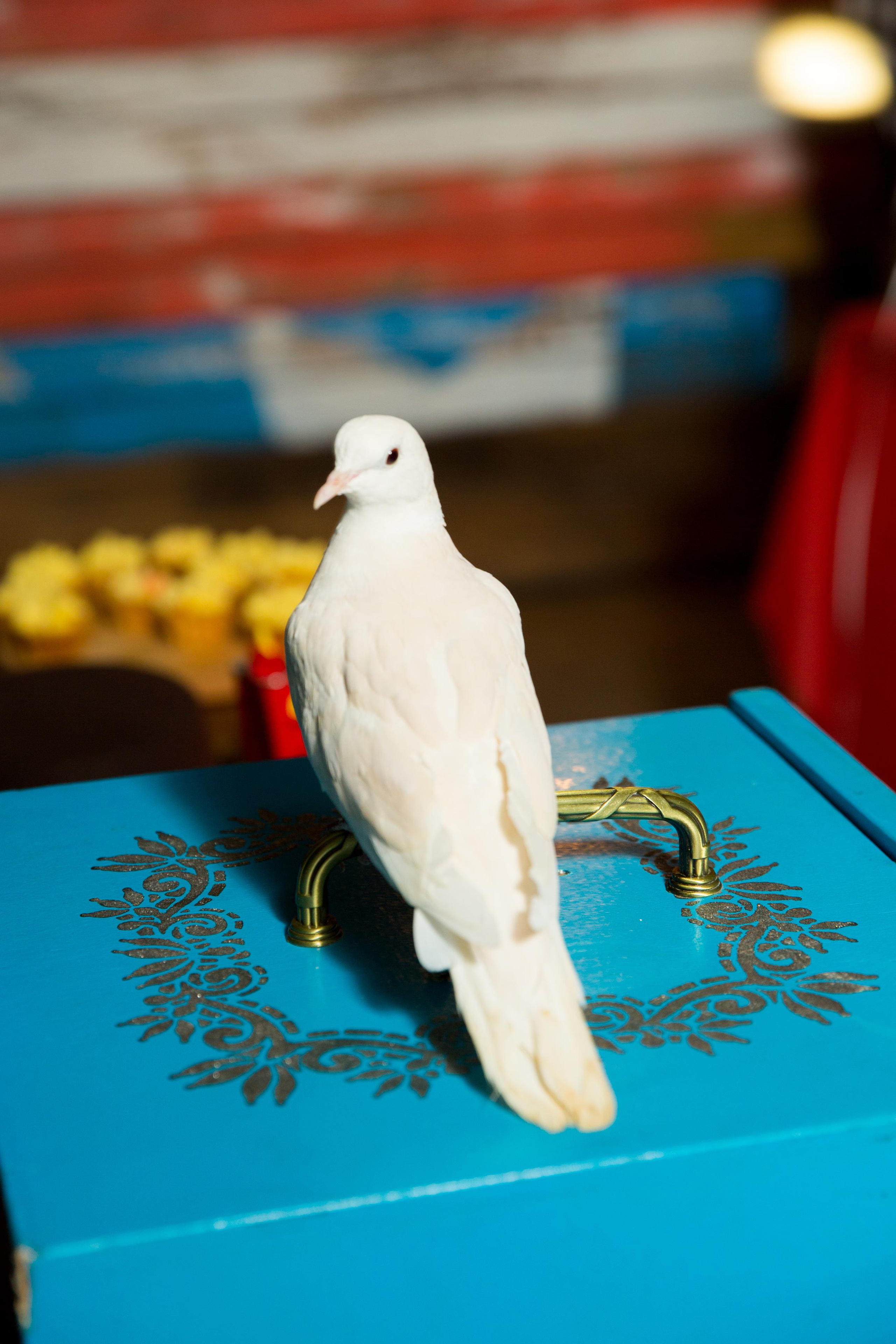 День рождения Софии. Главная