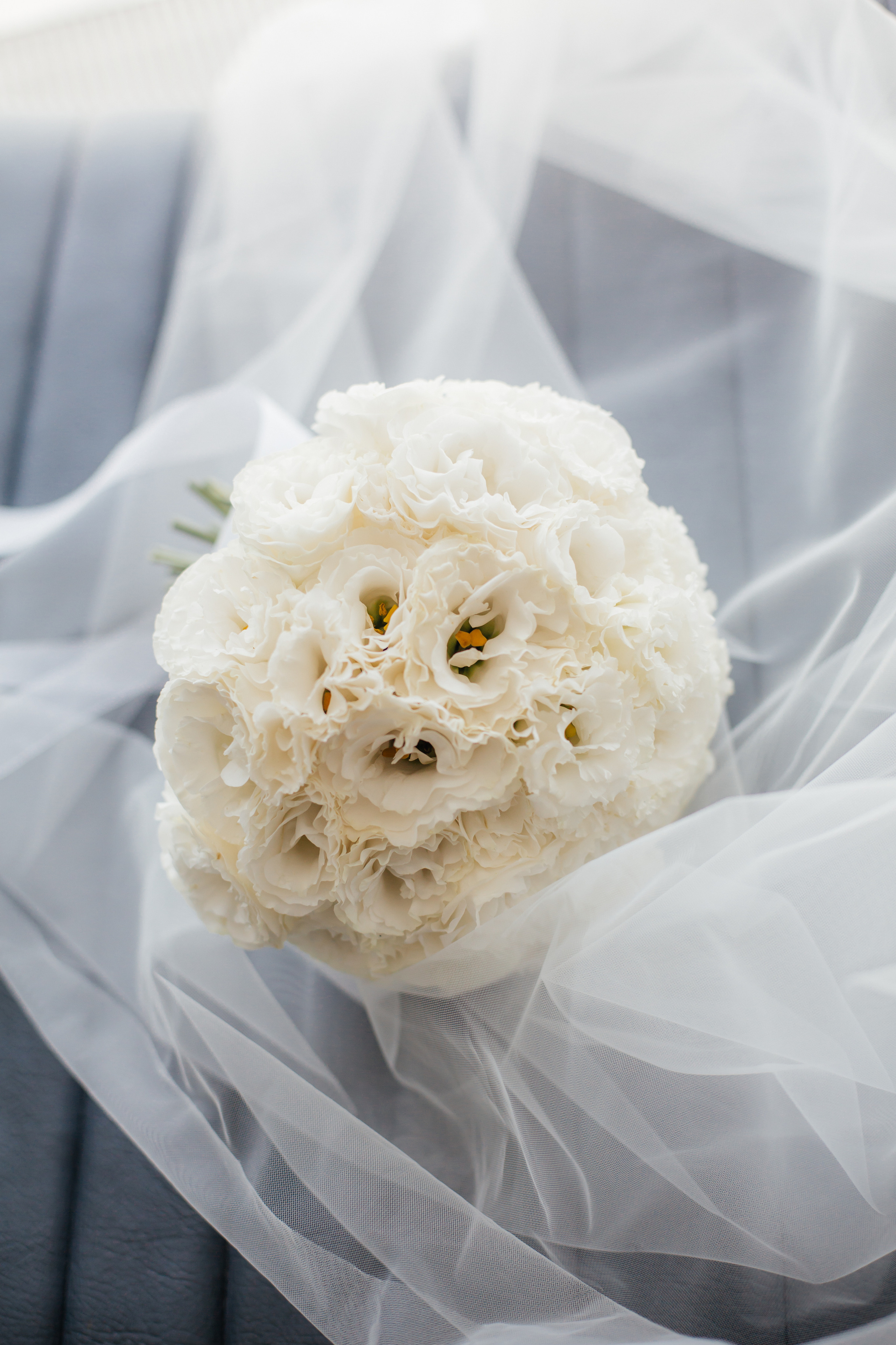 Данил и Диана. Главная