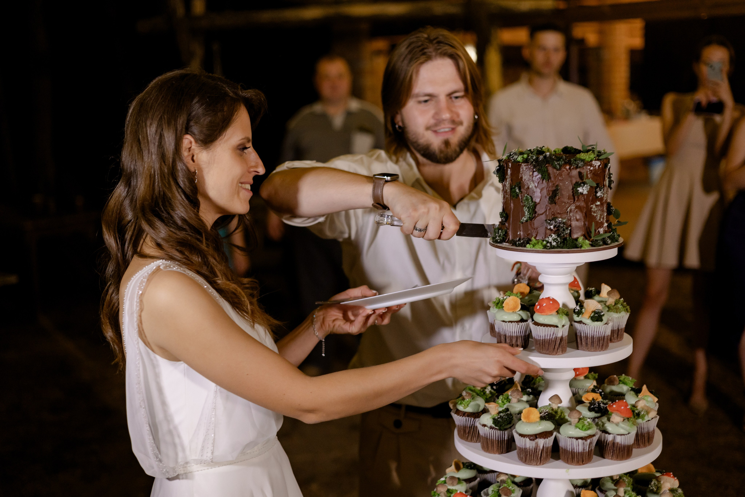 Виноградники. Dima Lemeshevsky