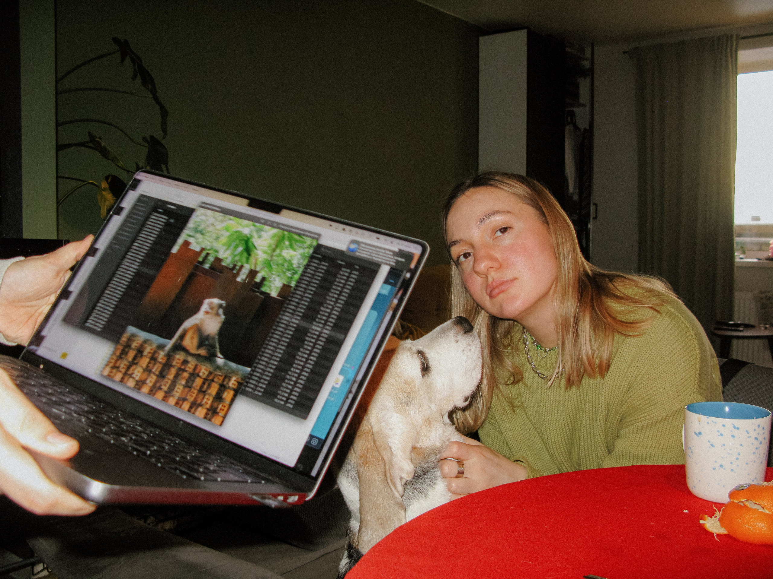 Feb. Фотограф Миланазавр