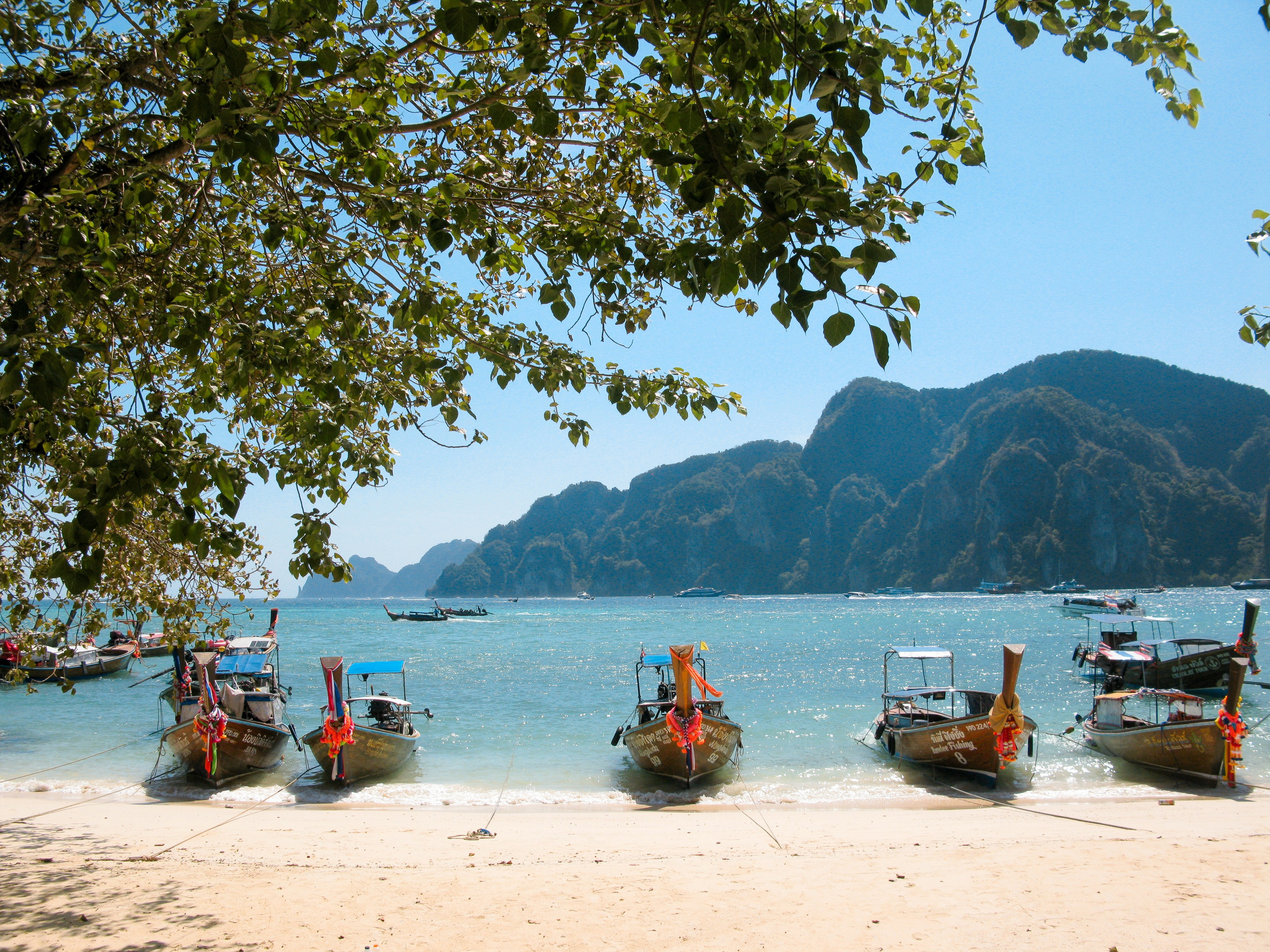 Thai. Фотограф Миланазавр