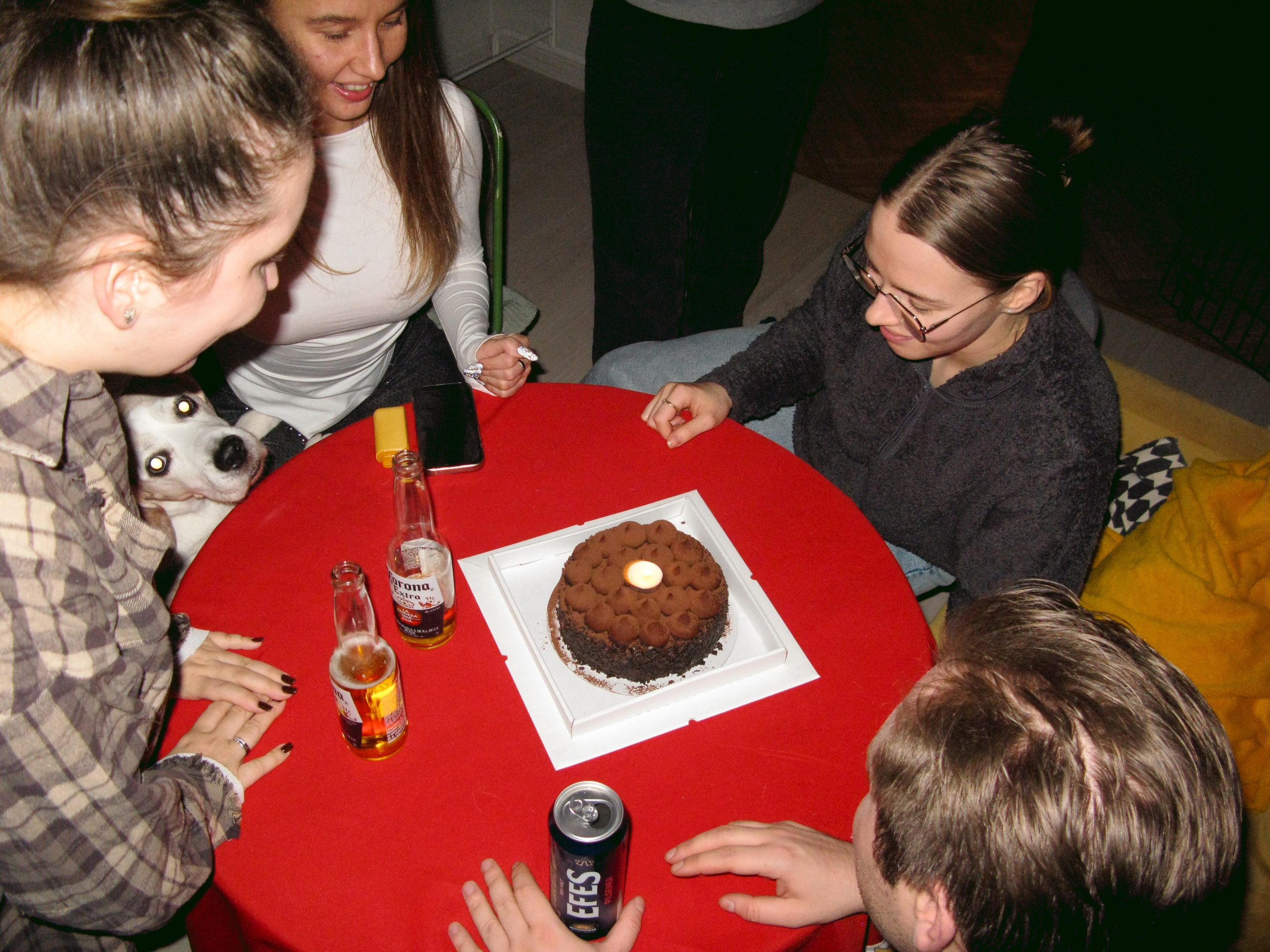 Feb. Фотограф Миланазавр