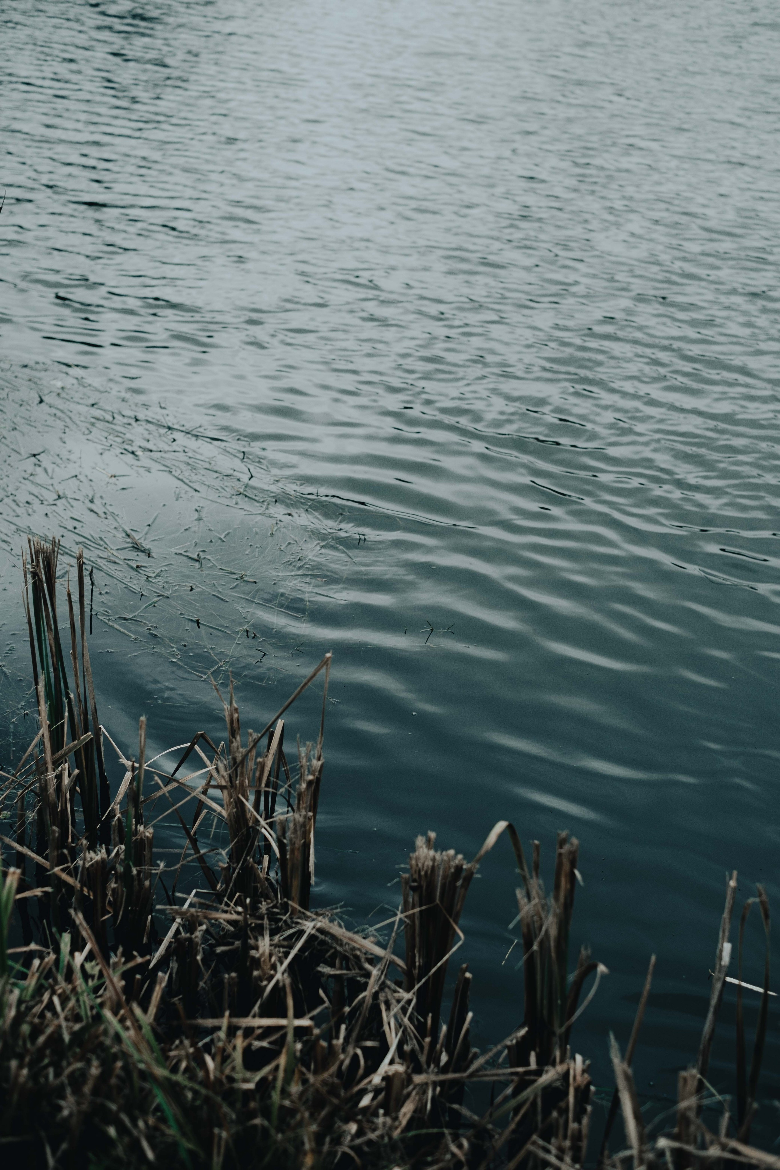 «52 герца». Фотограф Аннё| Москва