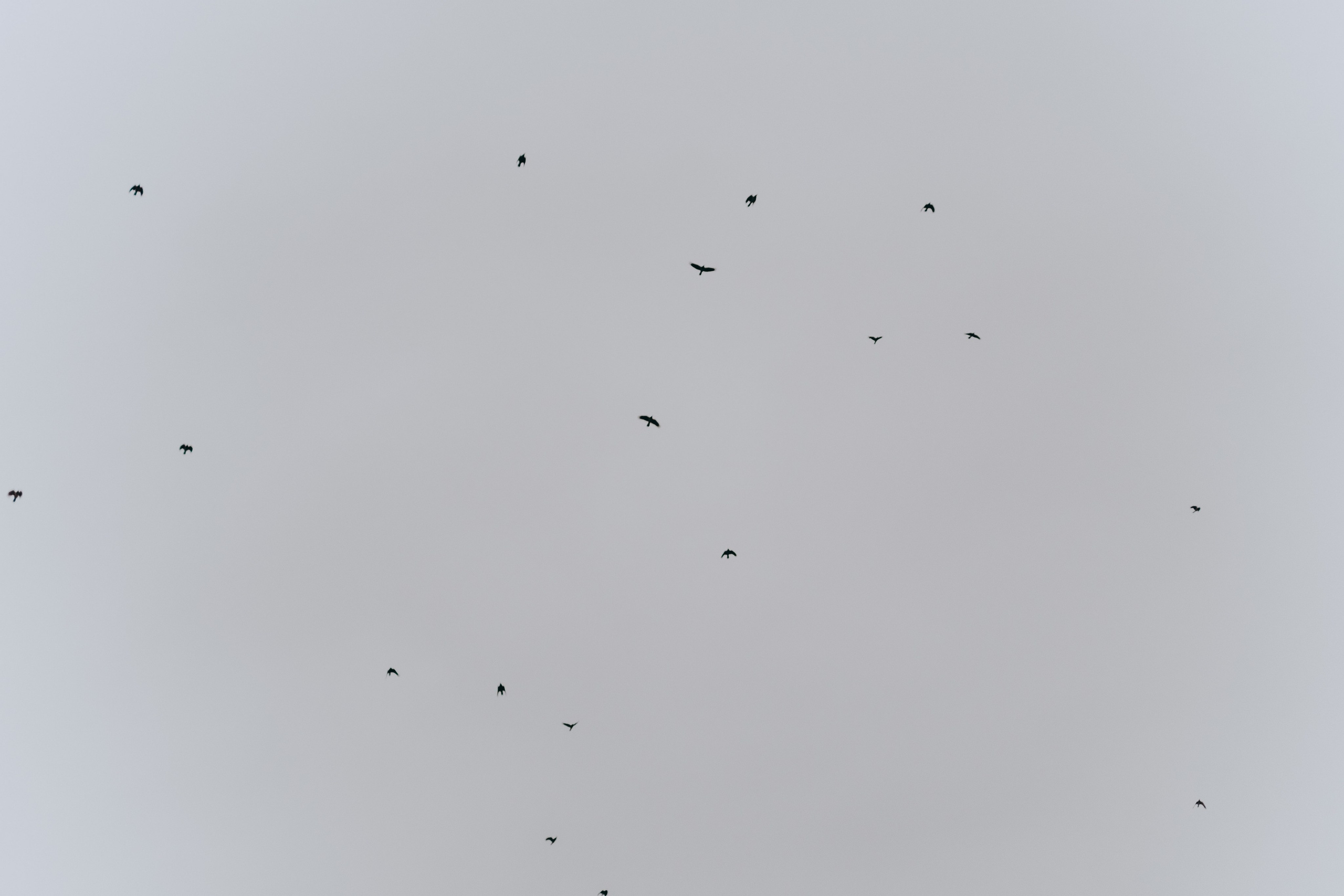 Персиковый источник | осень 2025. Фотограф Аннё| Москва