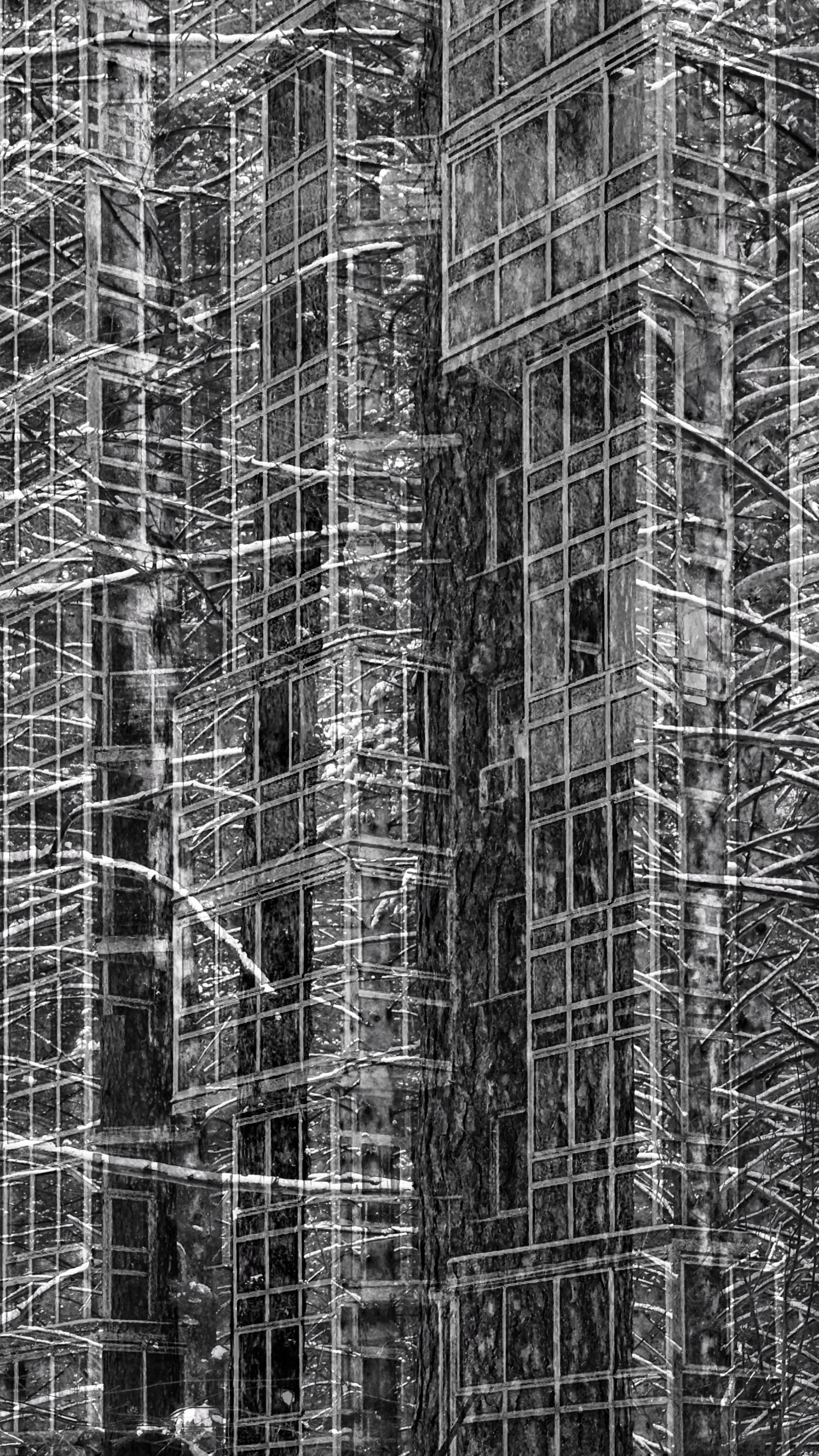 2025 год. Тащилин Сергей. Фотографии. Жизнь. Хобби