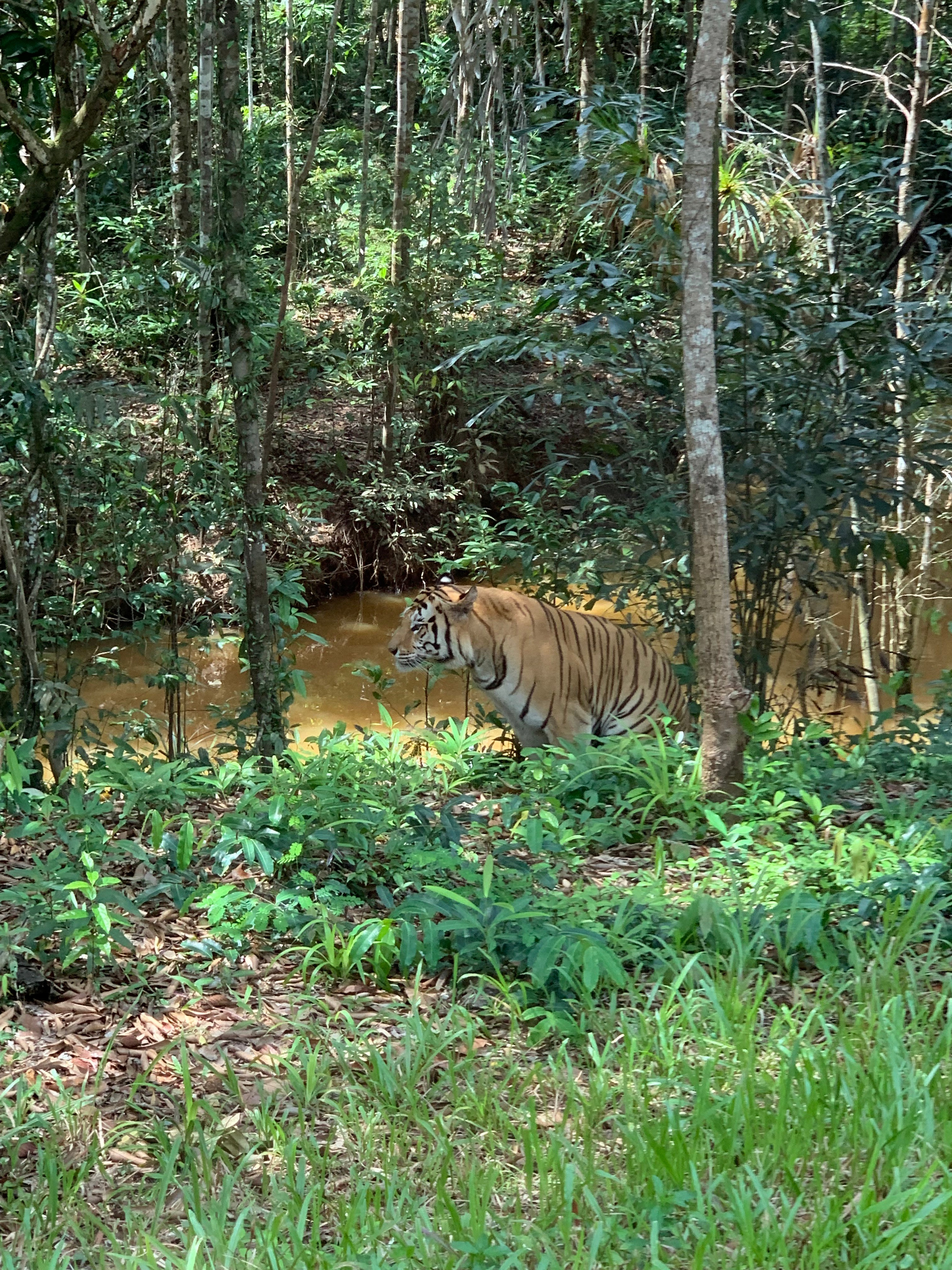 2019 год. Тащилин Сергей. Фотографии. Жизнь. Хобби