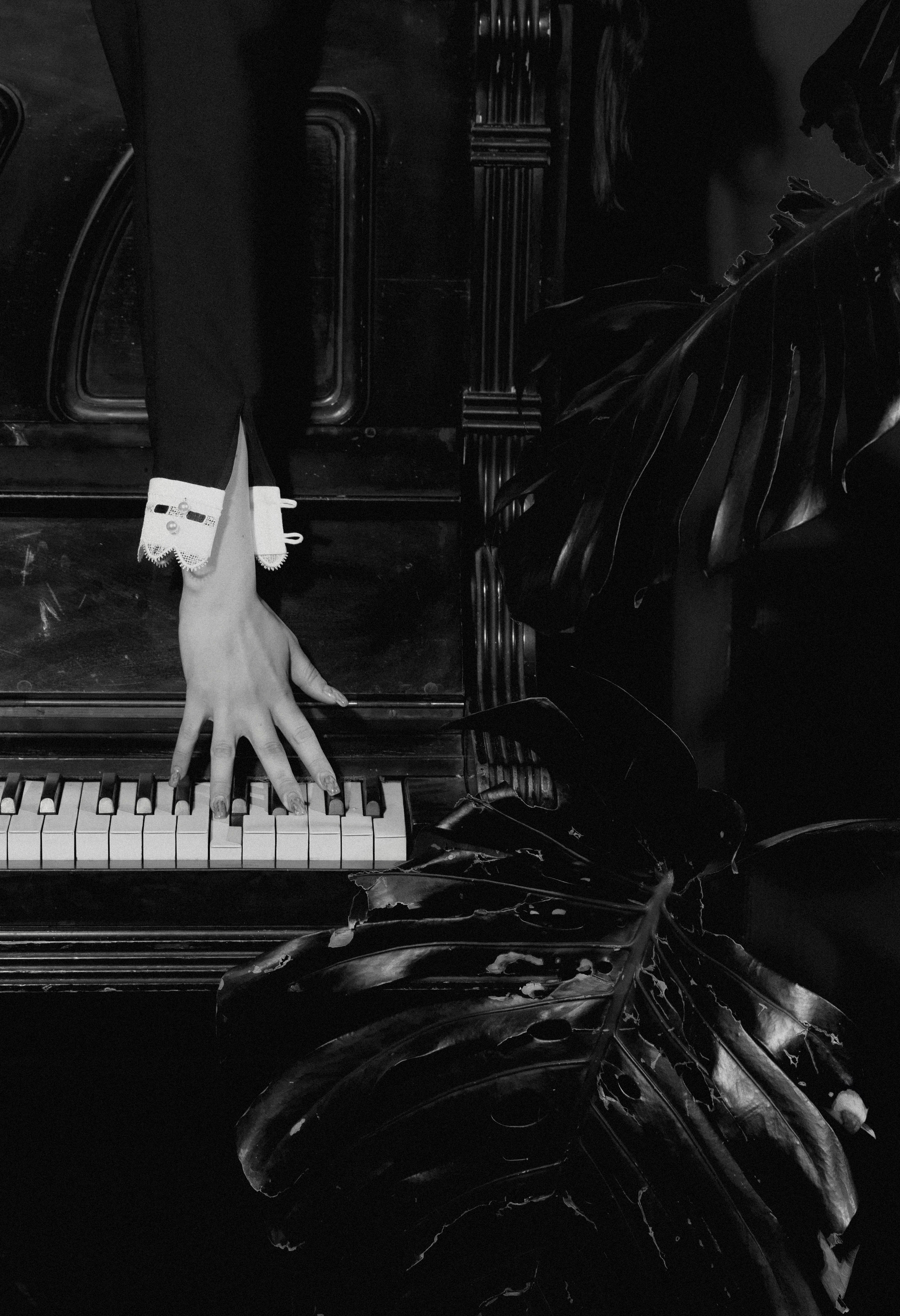 Viola. Фотограф Москва