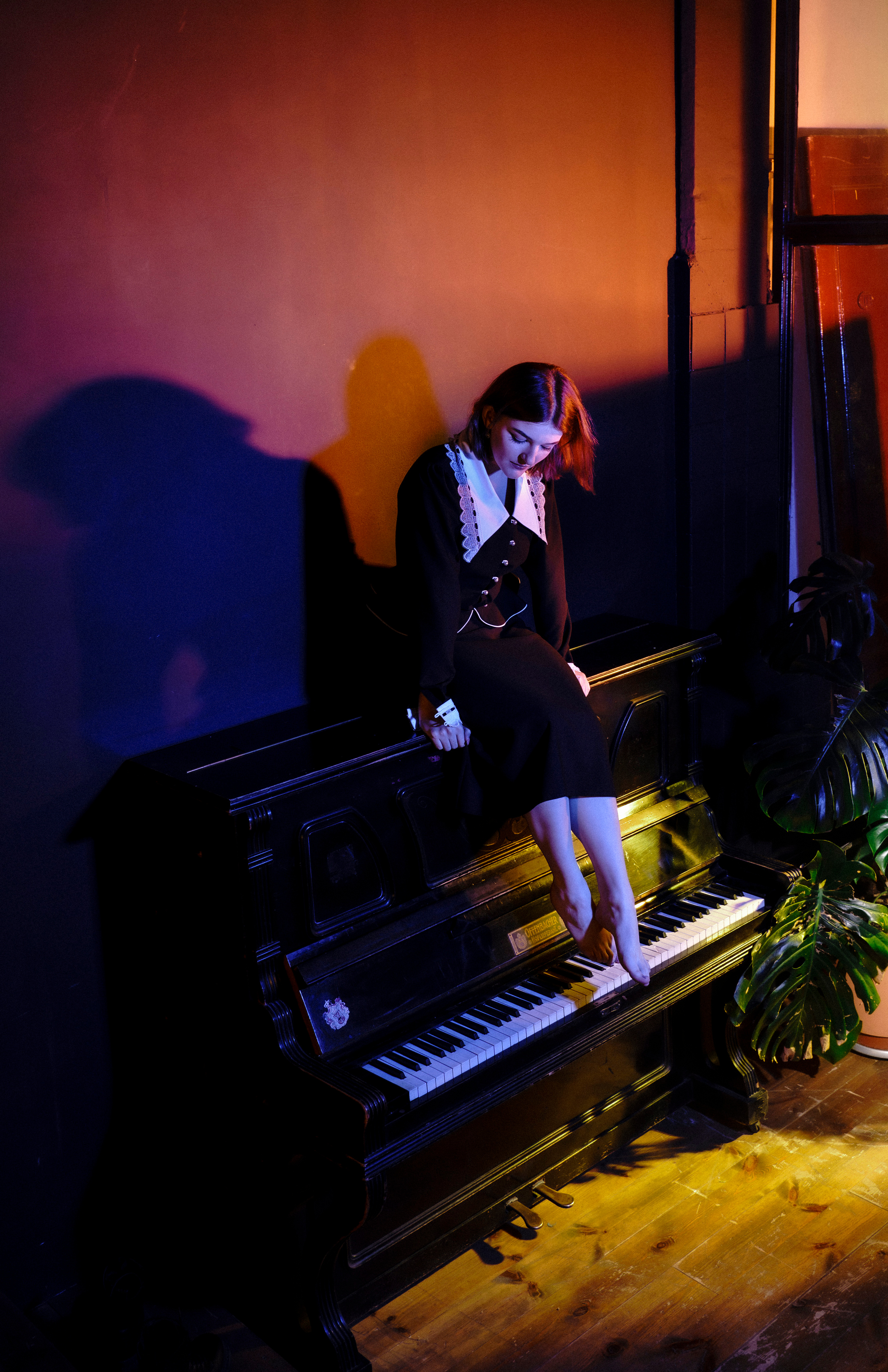 Viola. Фотограф Москва