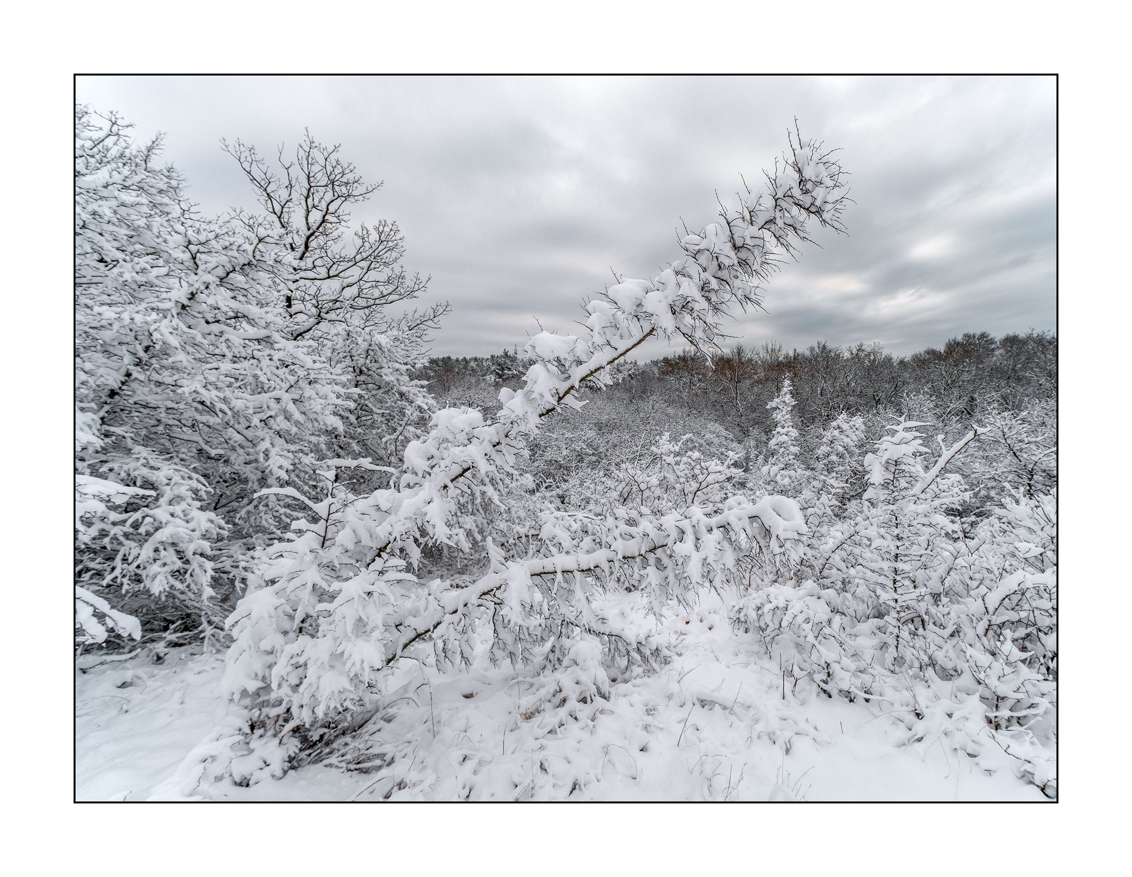 фотограф Геленджик