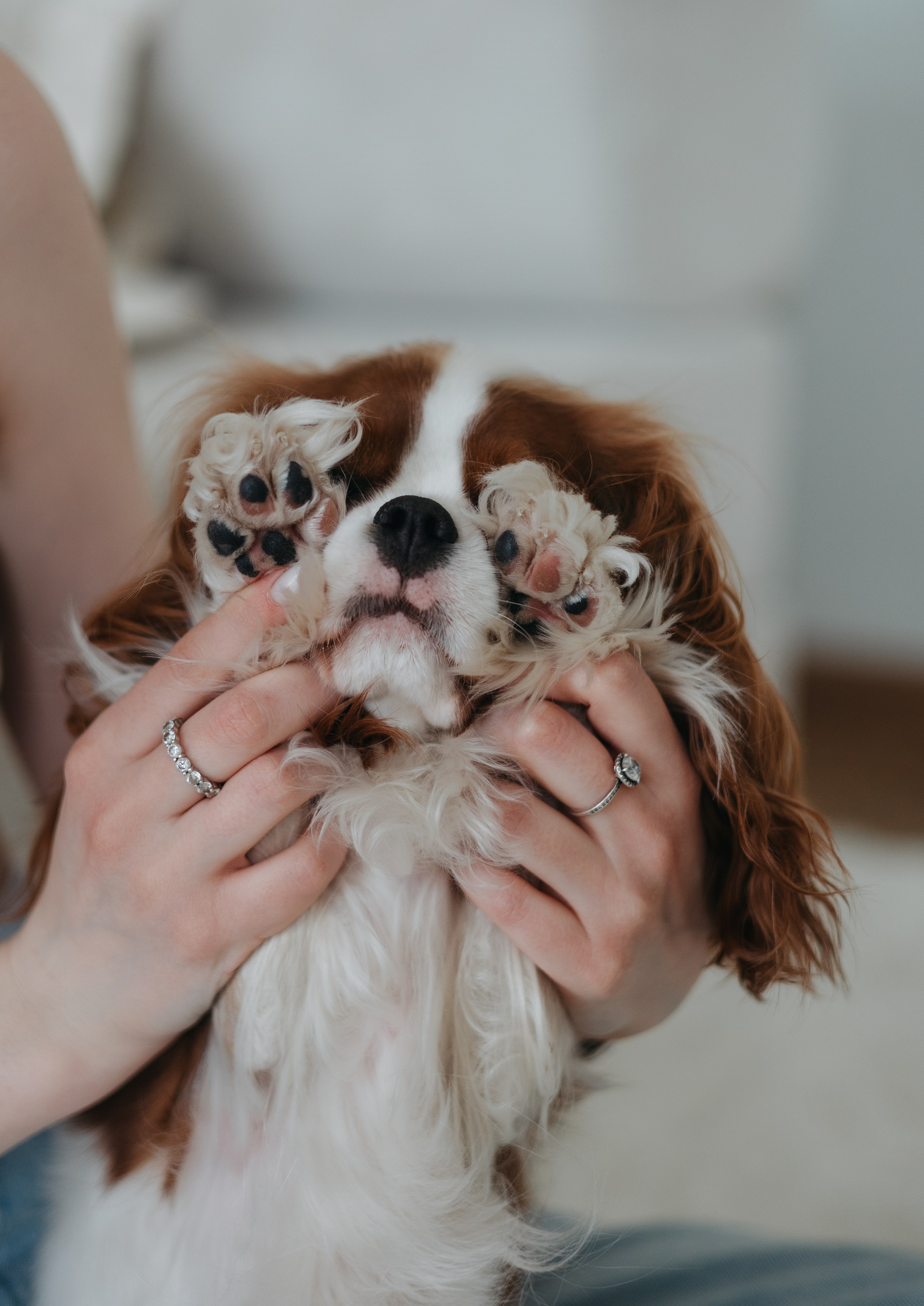Саша и Эллисон. Фотограф животных Евгения Верцинская