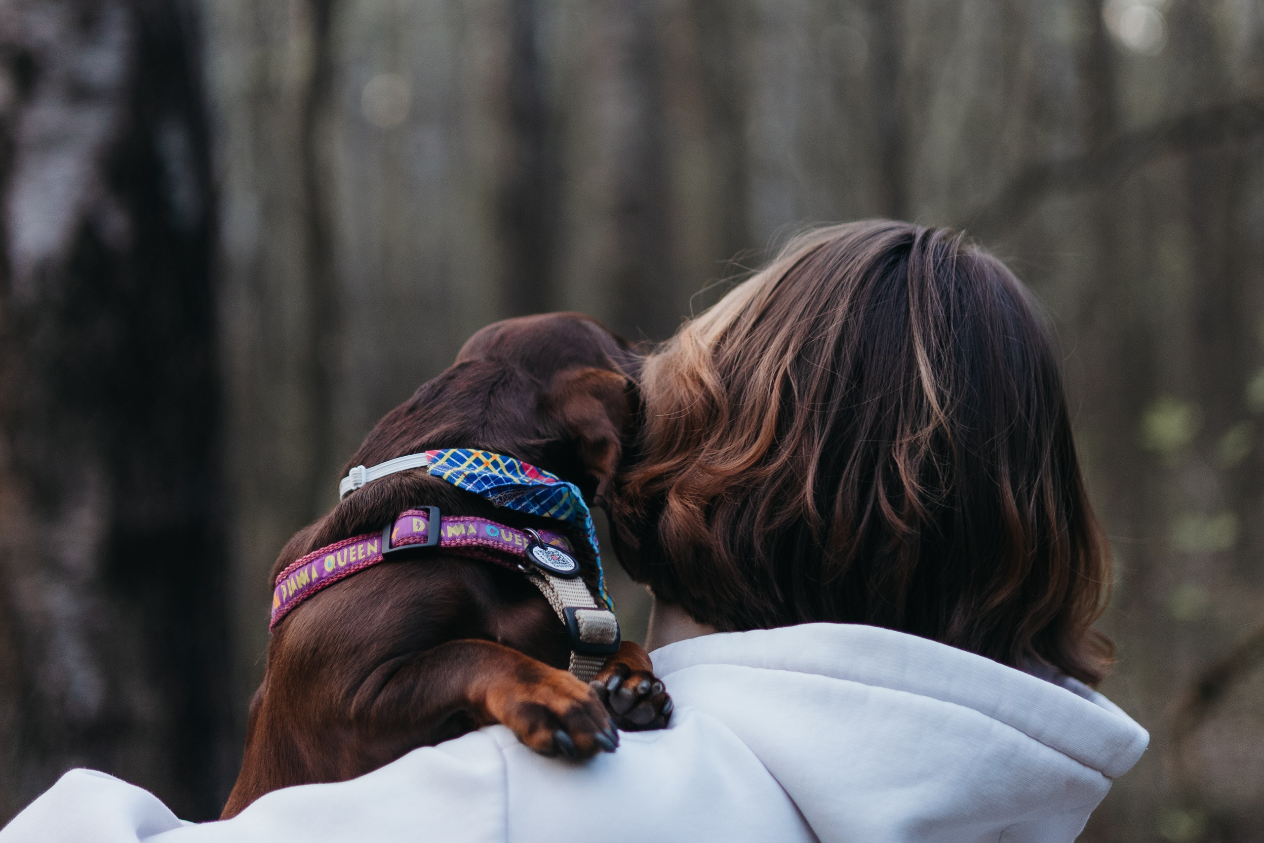 Наталья и Ялта. Фотограф животных Евгения Верцинская