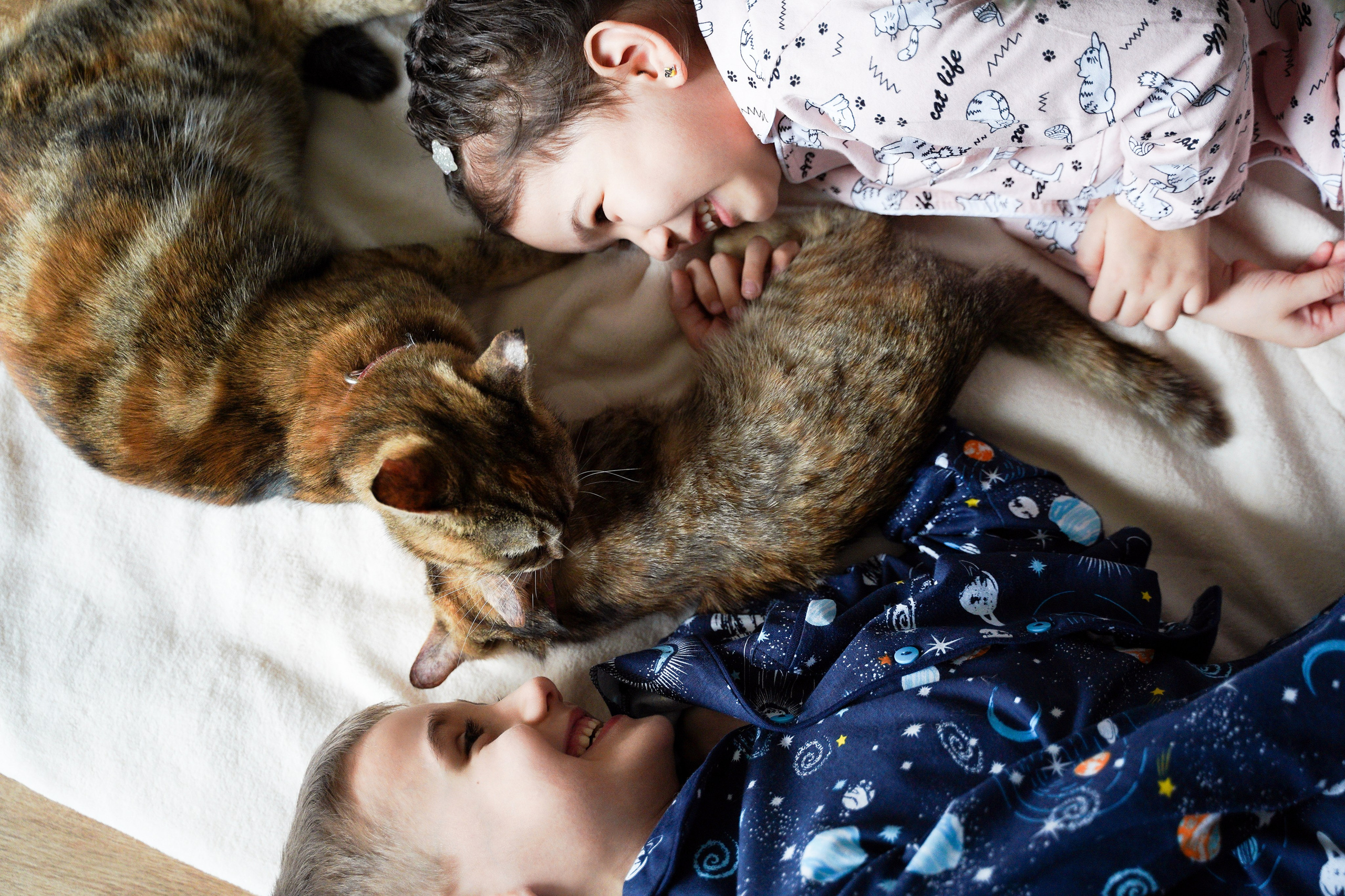 СЕМЕЙНЫЕ ЦЕННОСТИ. Профессиональный фотограф Виктория Соломкина. Майкоп-ЮФО