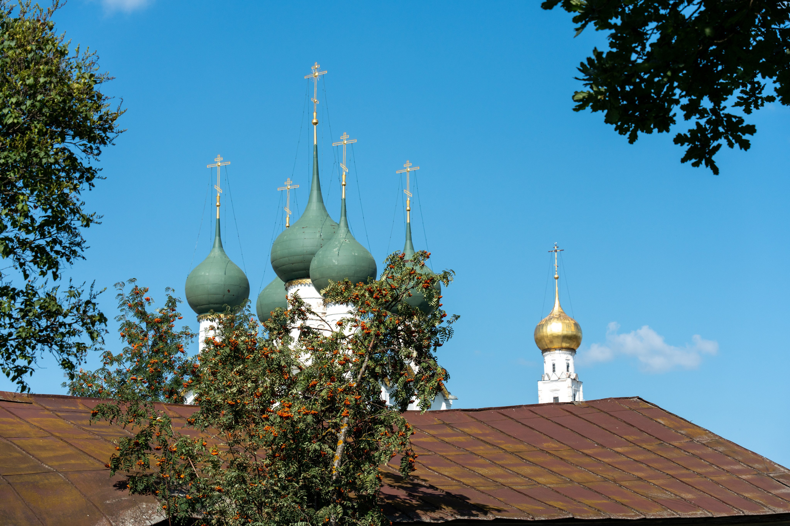 20250729-30 Ростов. Дмитрий Ремизов. Фотография, как хобби