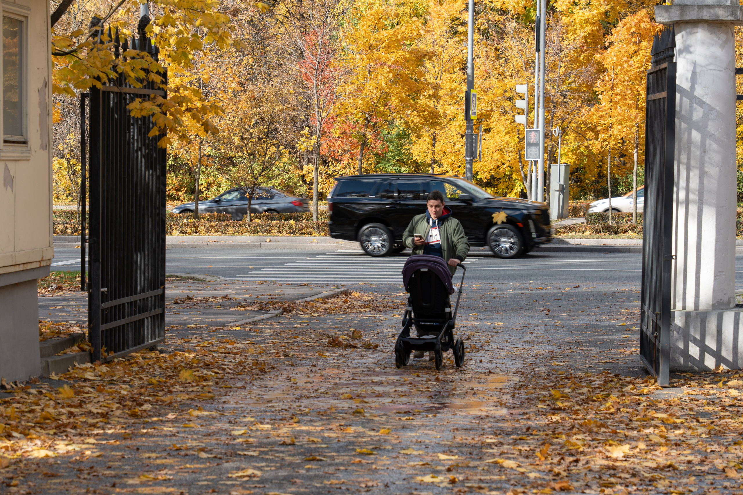 20251012 МГУ. Дмитрий Ремизов. Фотография, как хобби