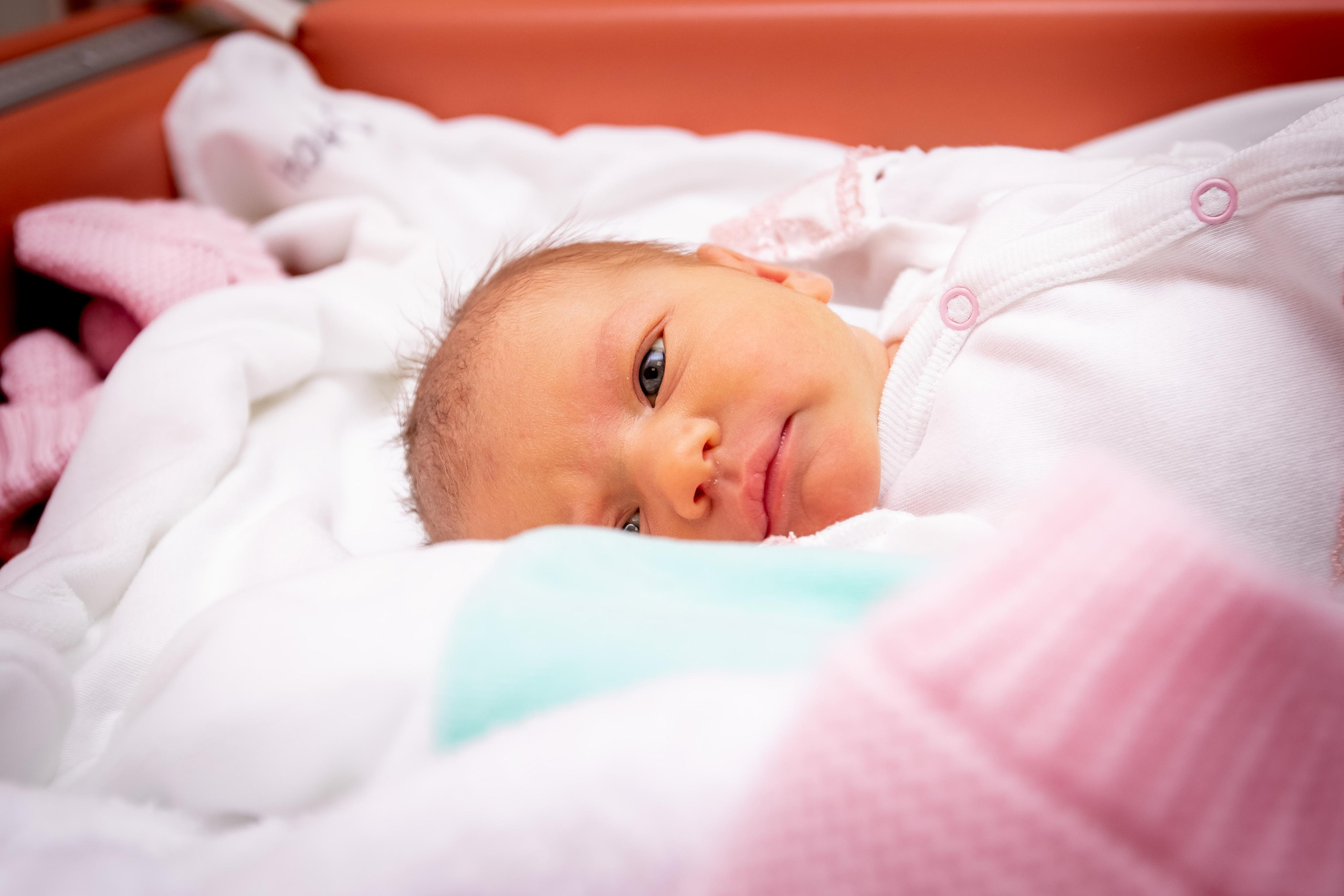 Выписка из роддома. Дима Колес / фото и видео съёмка в Москве