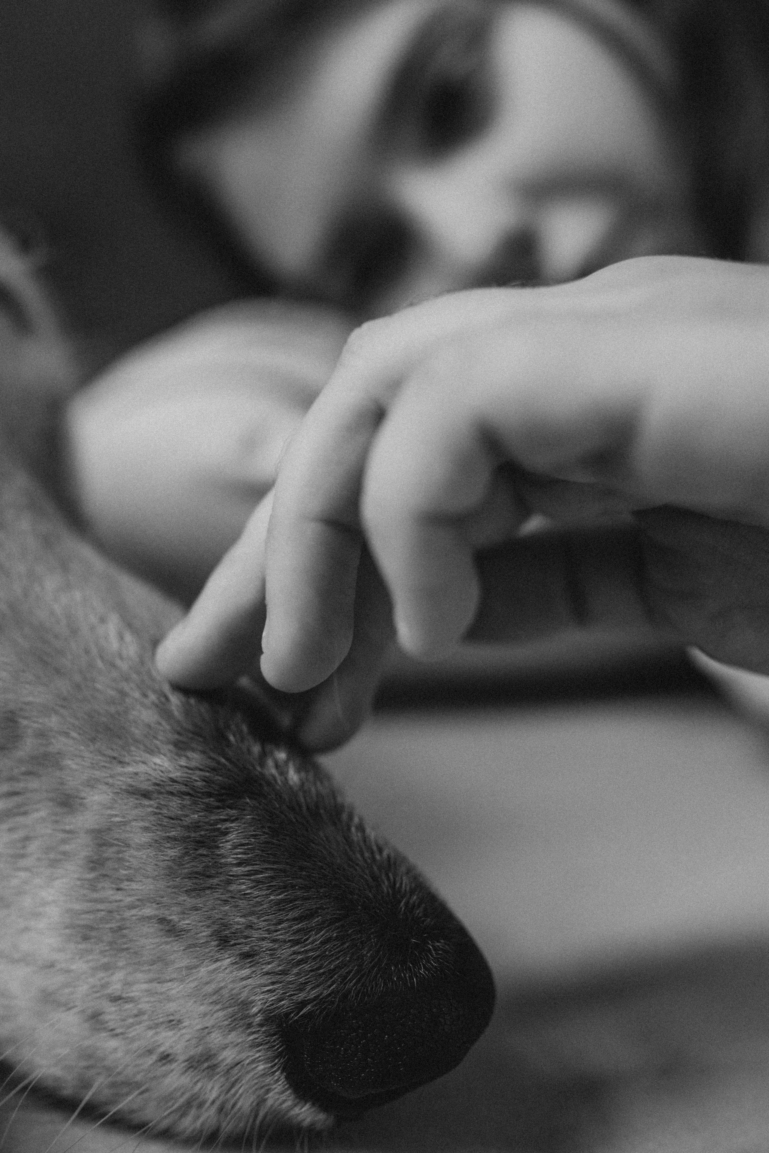 Катя и Милка. Семейный фотограф и анималист в Москве Анна Иванова