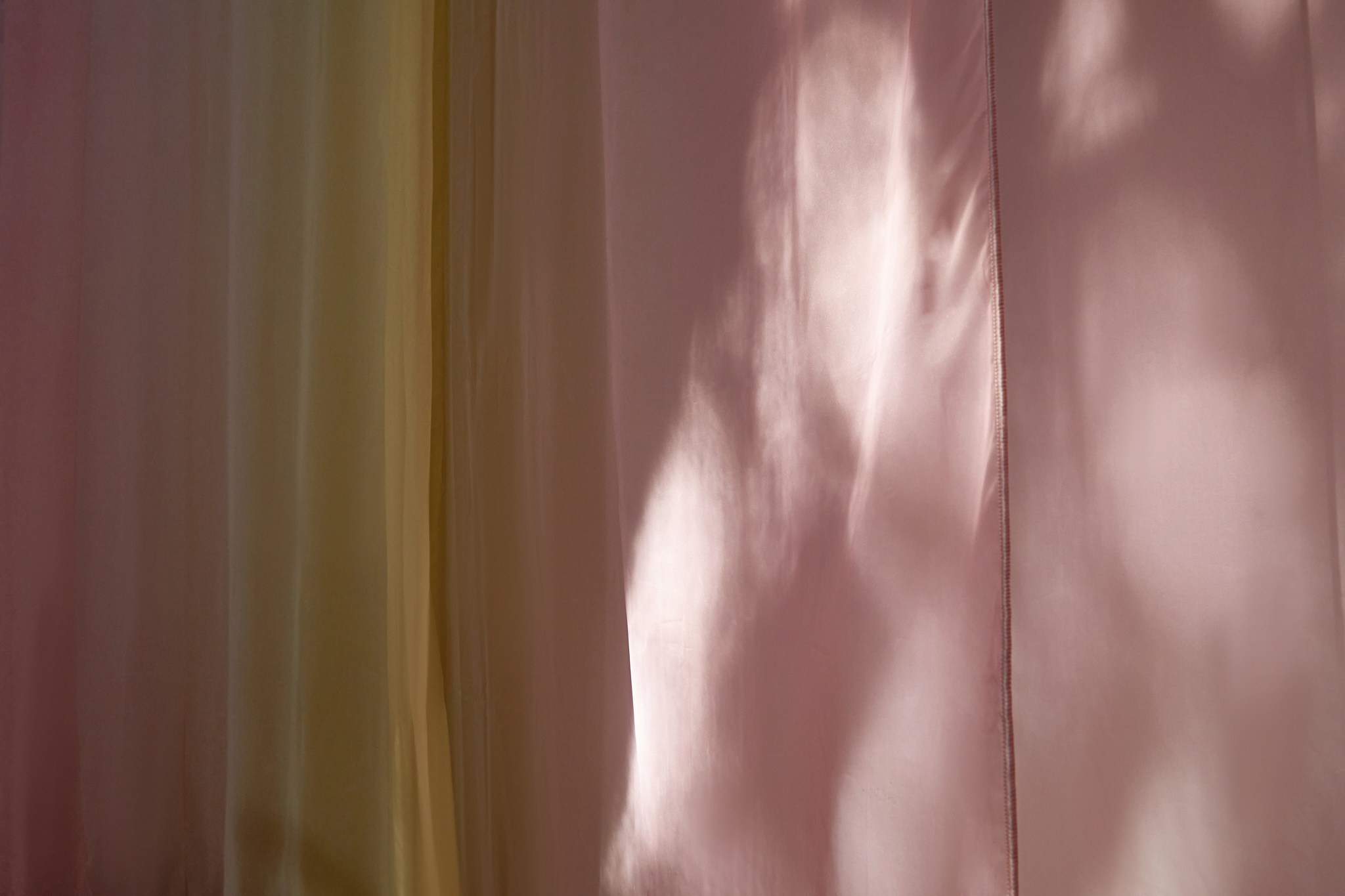 Living color — яркие и живые декорации от НикитинаДекор. Студия декора НикитинаДекор — оформление мероприятий в Ульяновске. Профессиональное создание эксклюзивных декораций