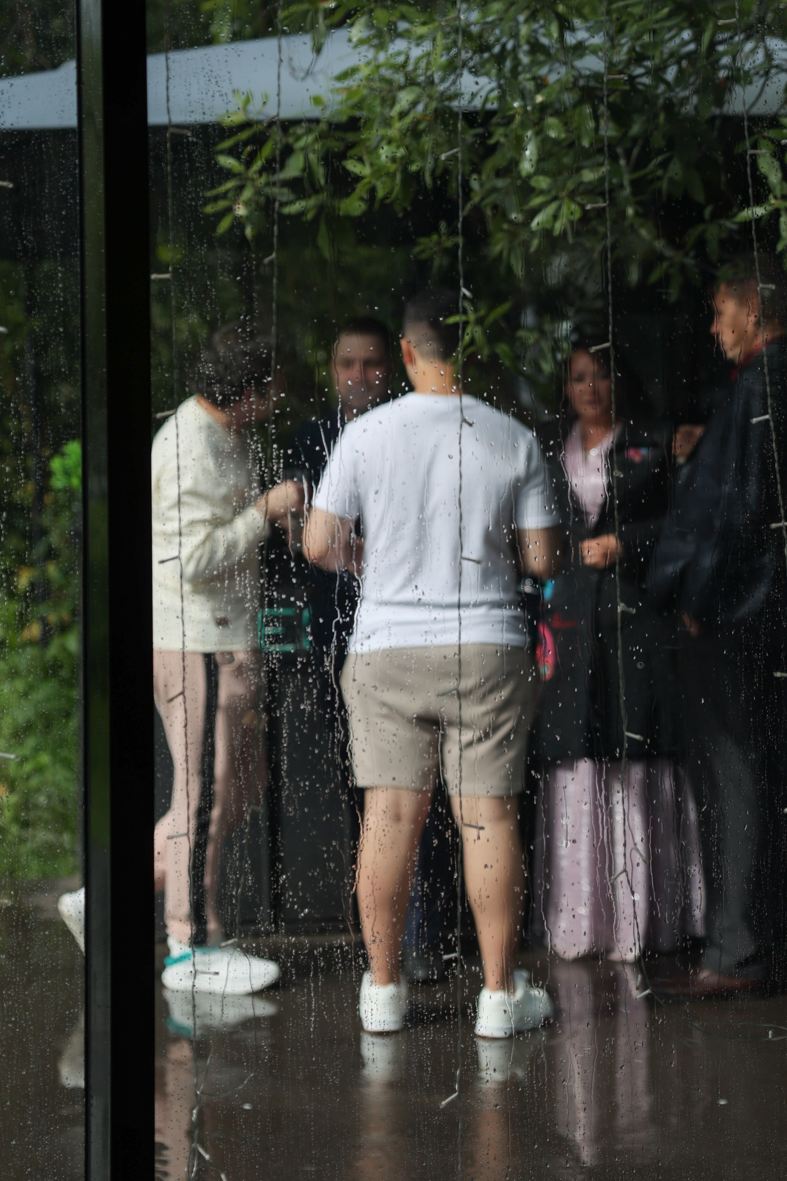 Green-house. Главная