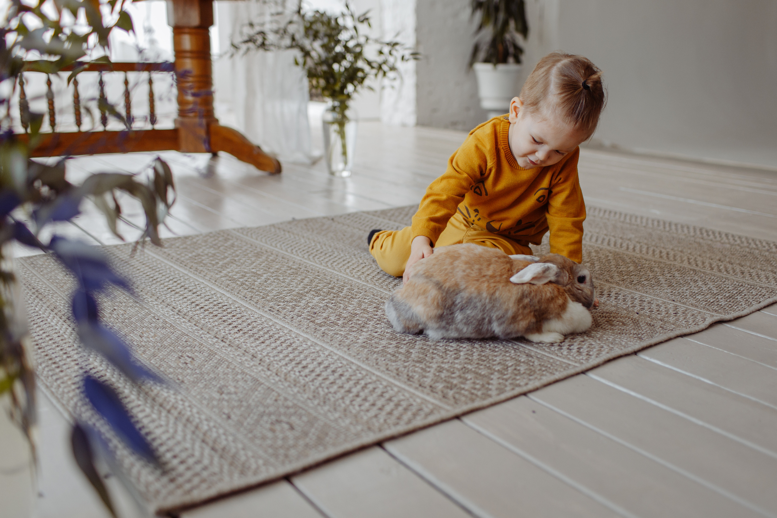 Алекс. Фотограф свадебный семейный в Красноярске Шукшина Наталья