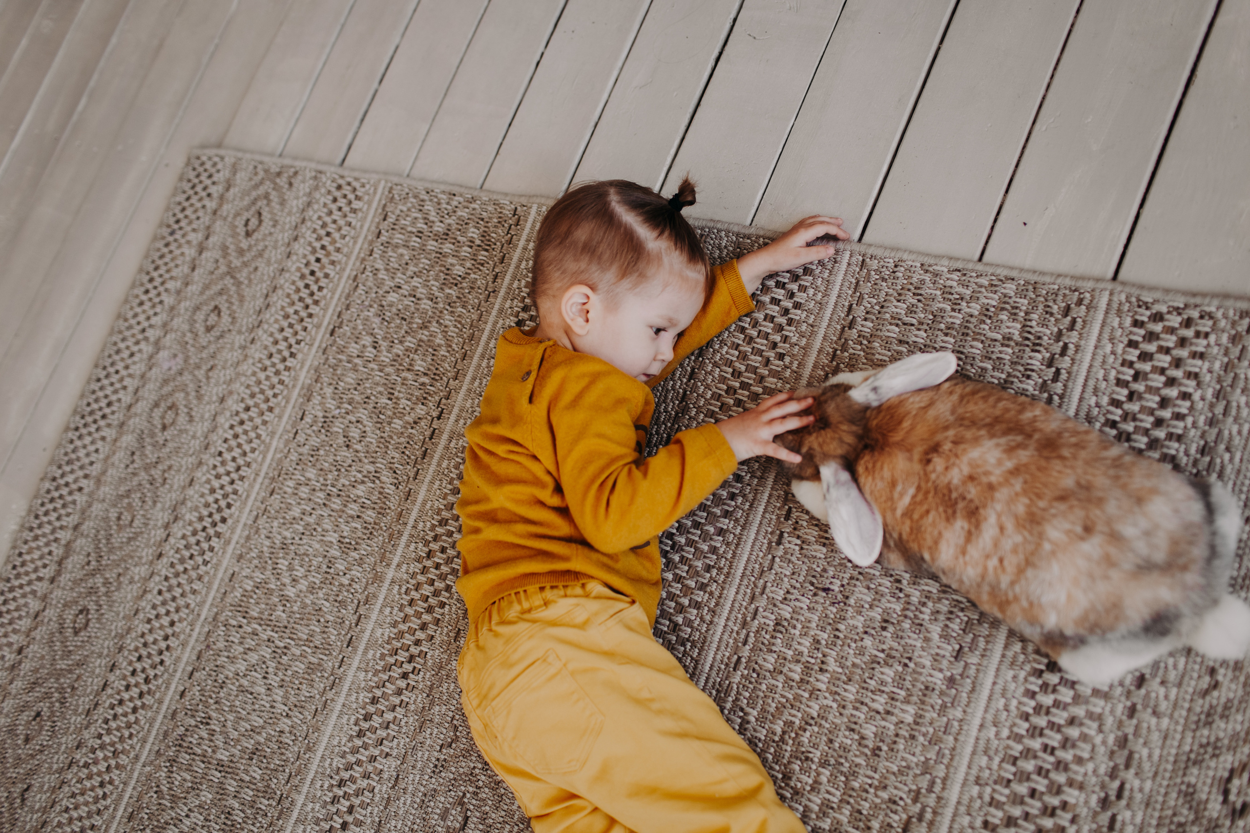 Алекс. Фотограф свадебный семейный в Красноярске Шукшина Наталья