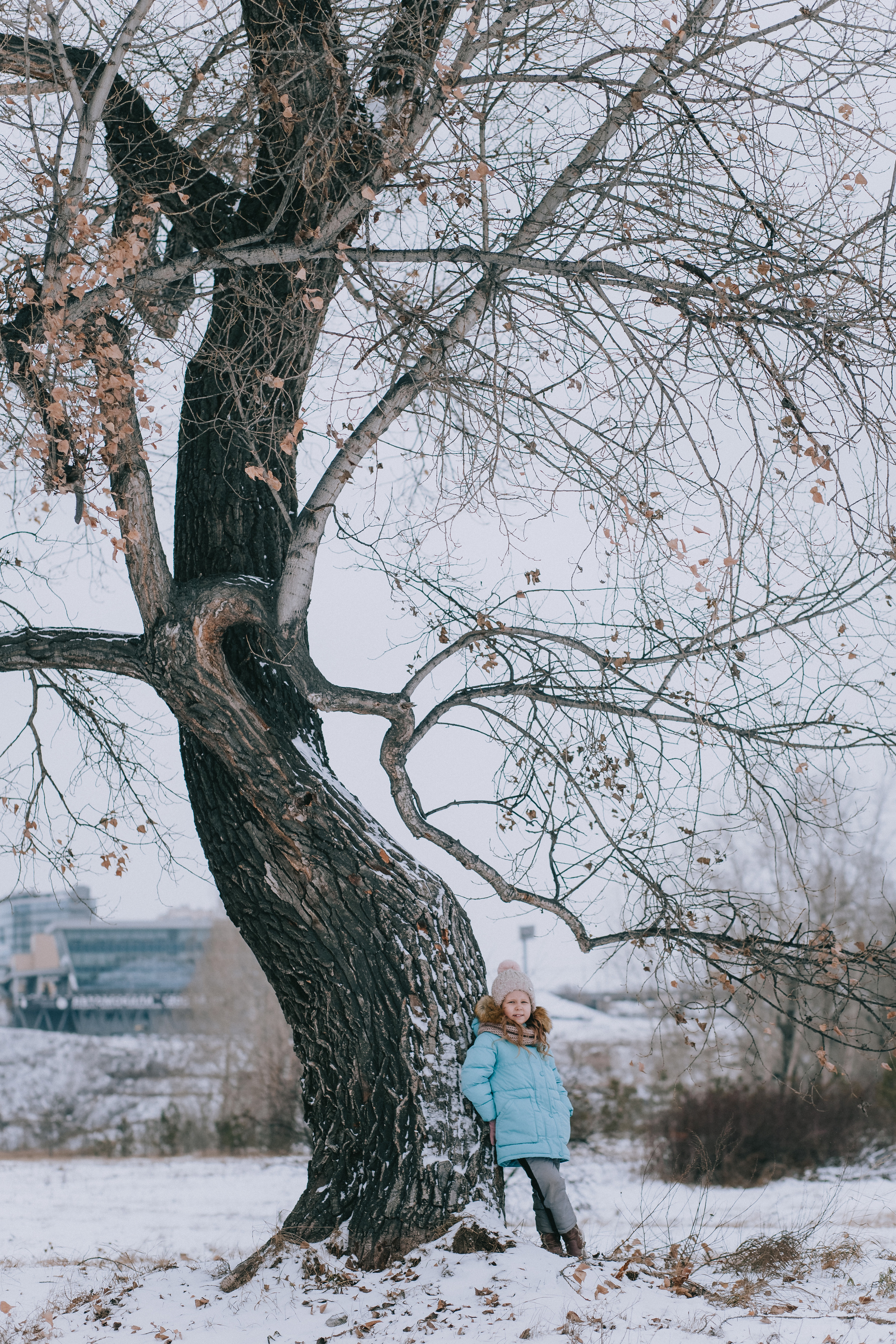 Зима. Фотограф свадебный семейный в Красноярске Шукшина Наталья