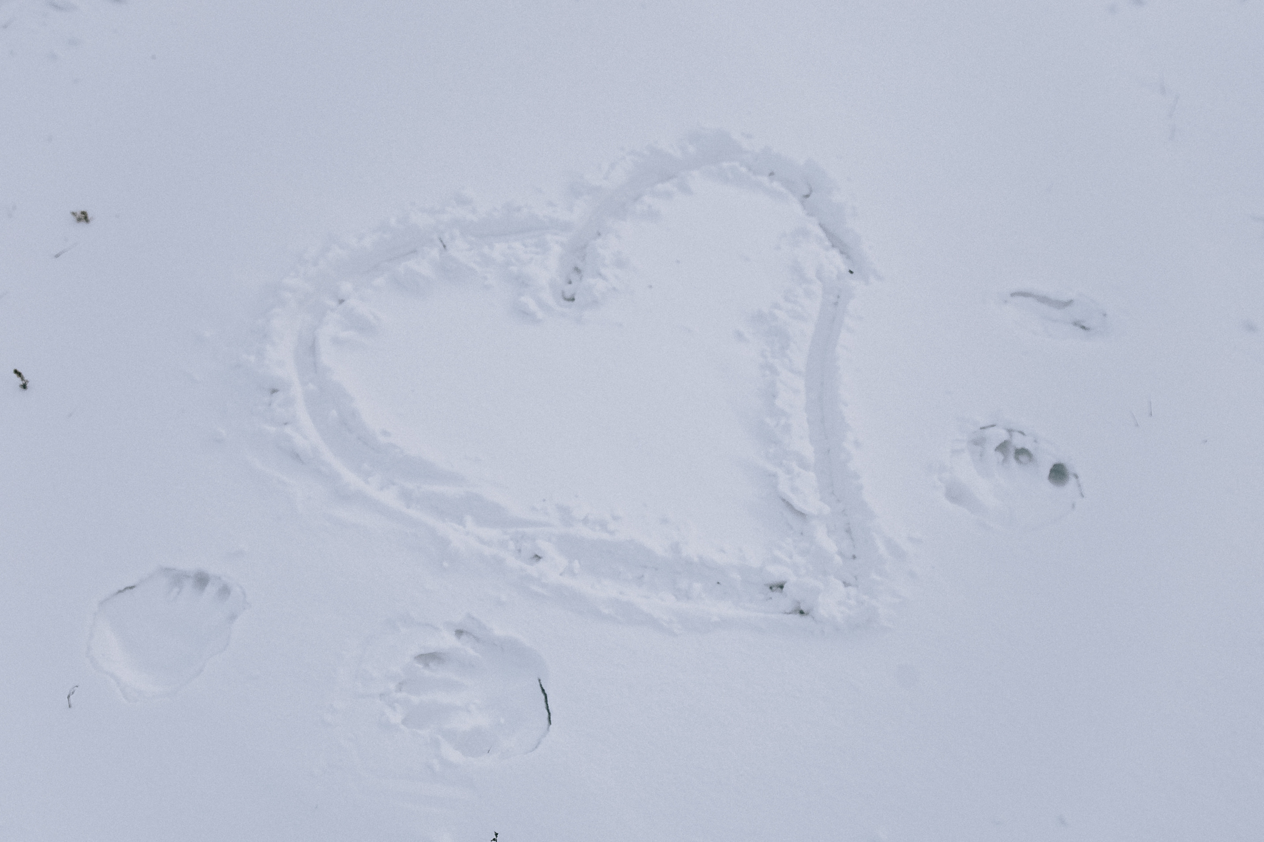 Зима. Фотограф свадебный семейный в Красноярске Шукшина Наталья