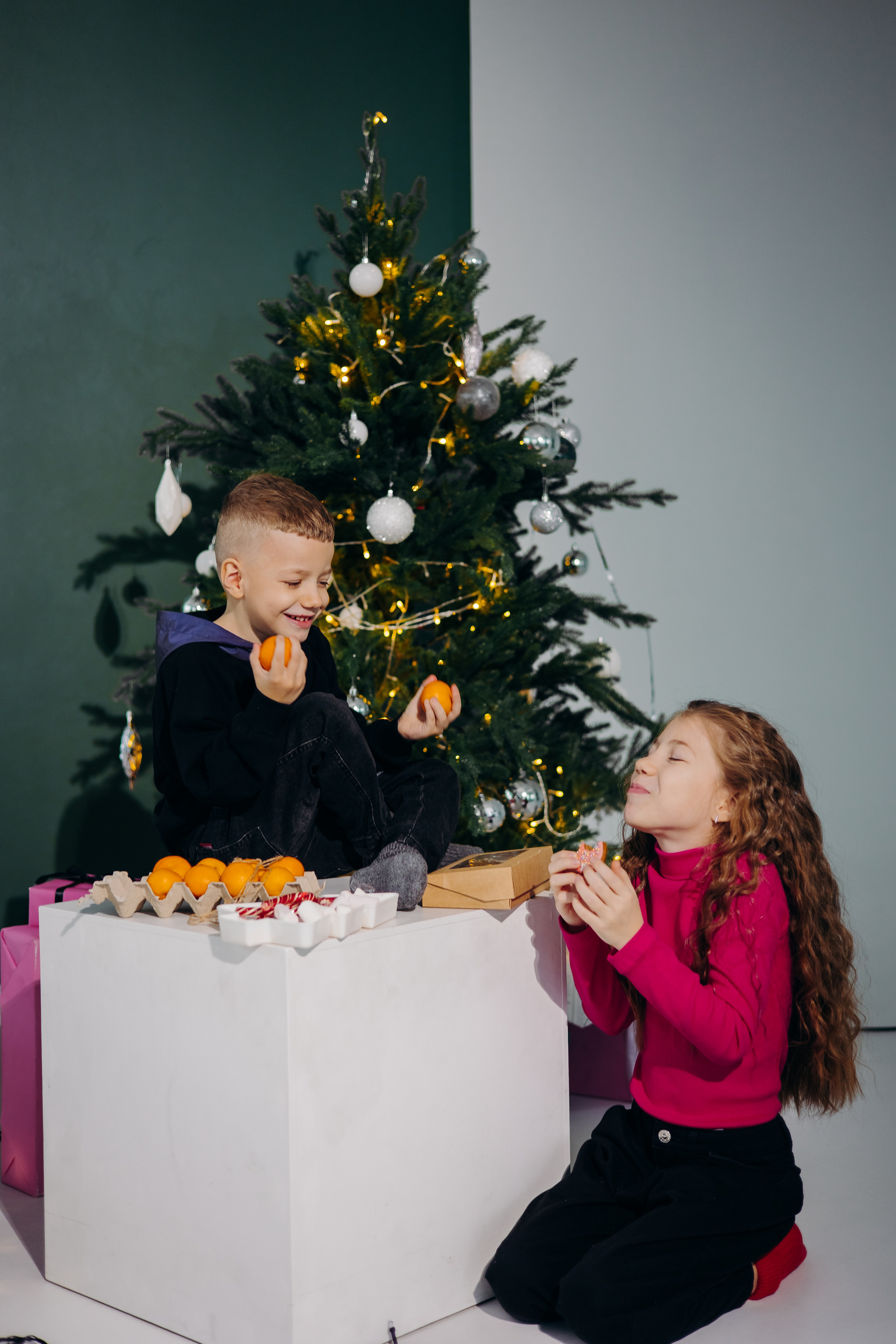 Новогодняя. Фотограф свадебный семейный в Красноярске Шукшина Наталья