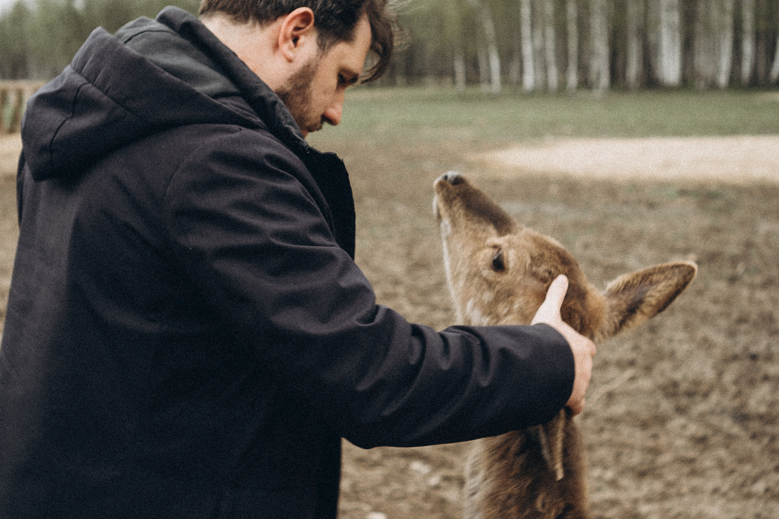 ОЛЕНЬЯ ФЕРМА В ТВЕРИ. Профессиональный фотограф, Санкт-Петербург — Виктория Богомолова