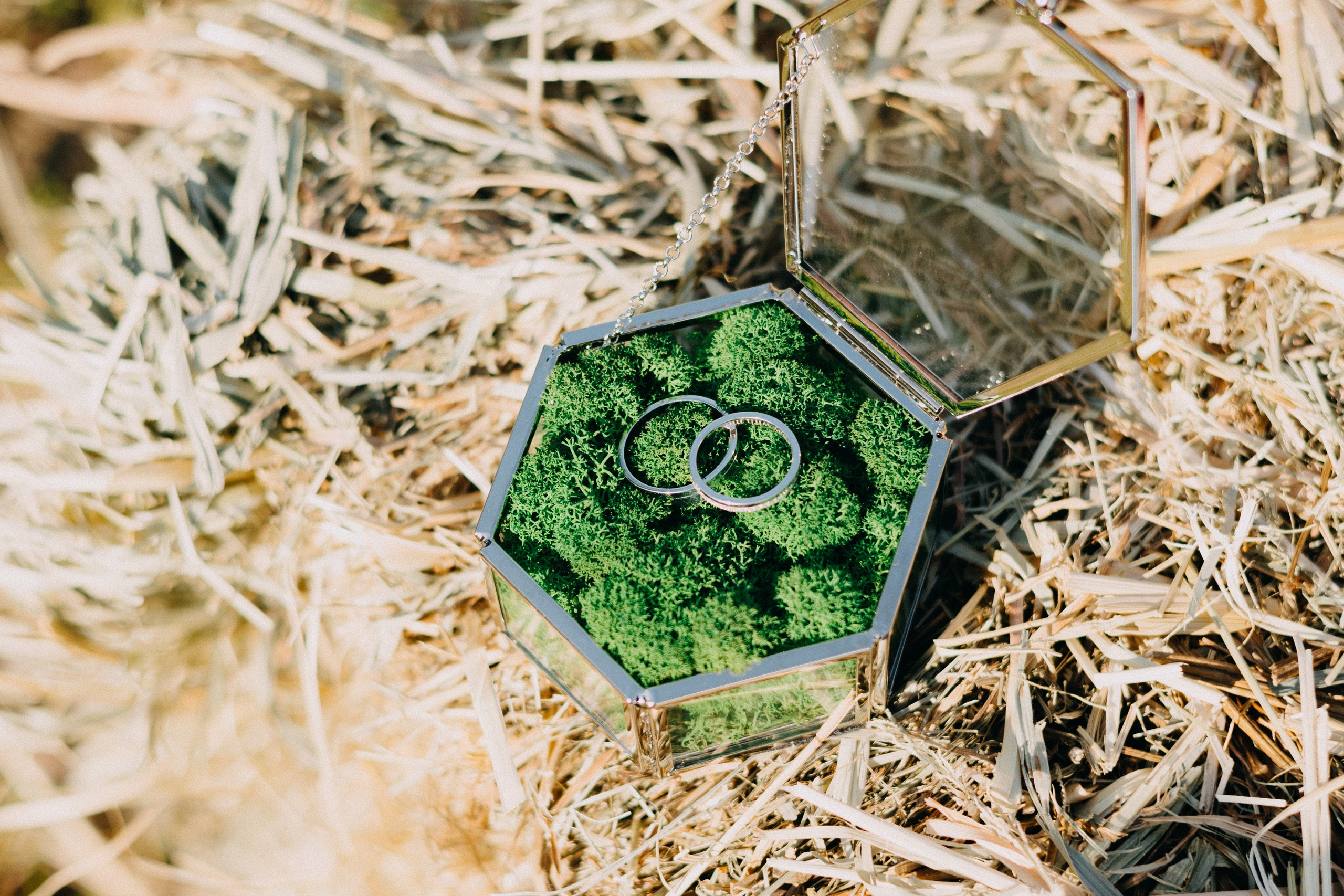 Станислав & Мария. ФОТОГРАФ РОЗА ФИЛИНА СПб I МОСКВА