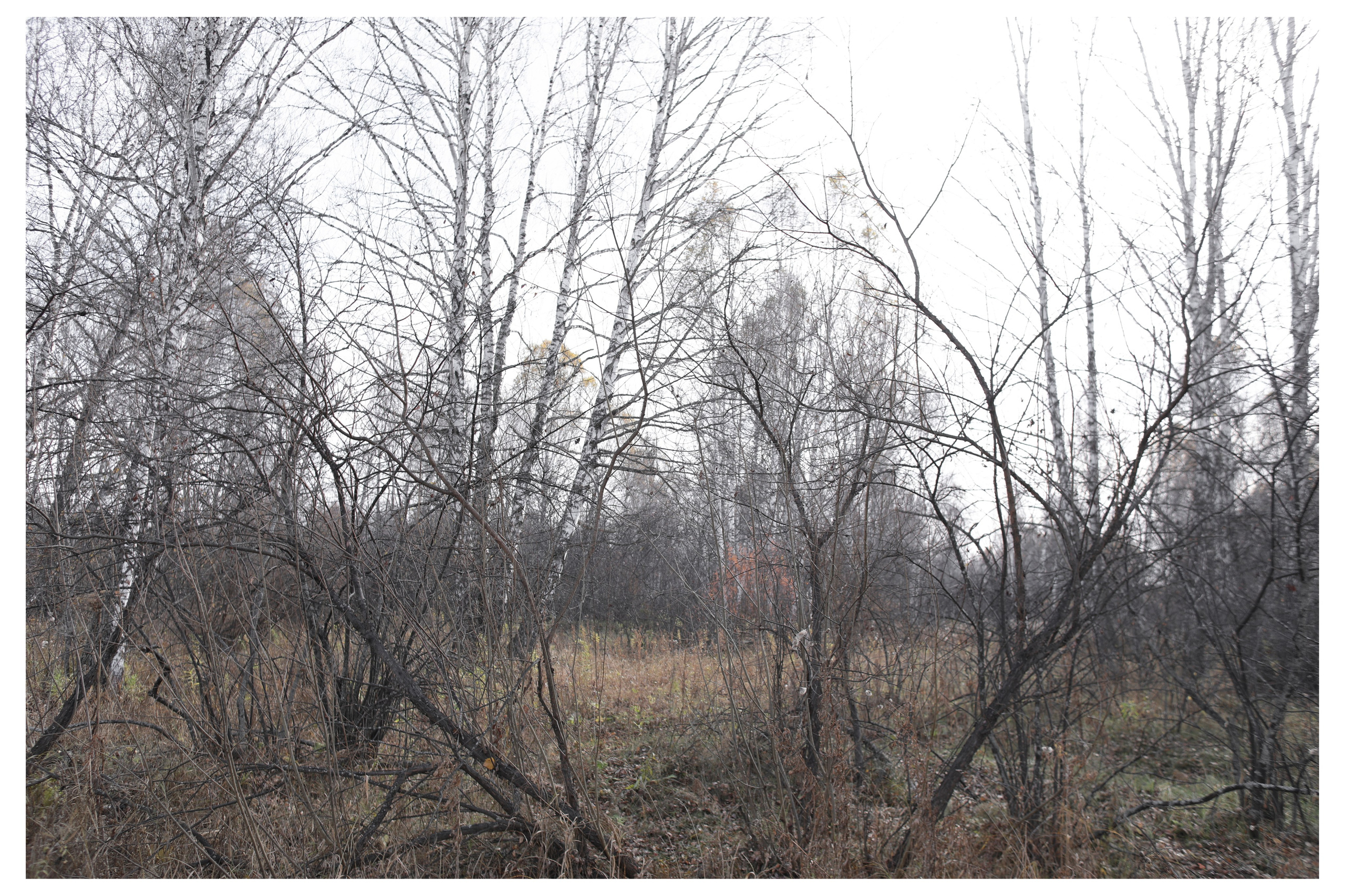 ДЕРЕВНЯ. Фотограф Манакова Ольга