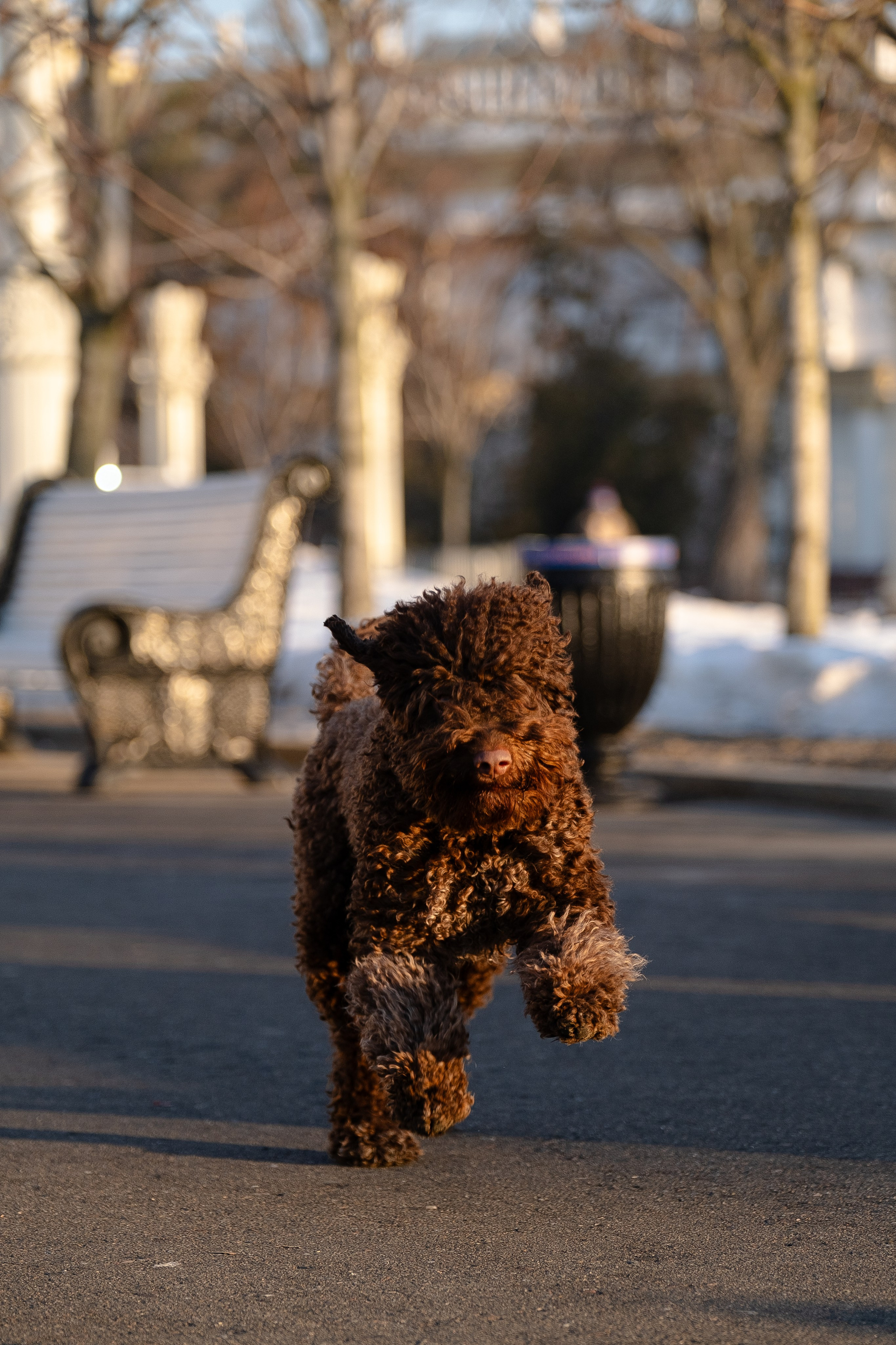 Тьеринна и Миша. Фотограф и видеограф анималист Аганина Дарья