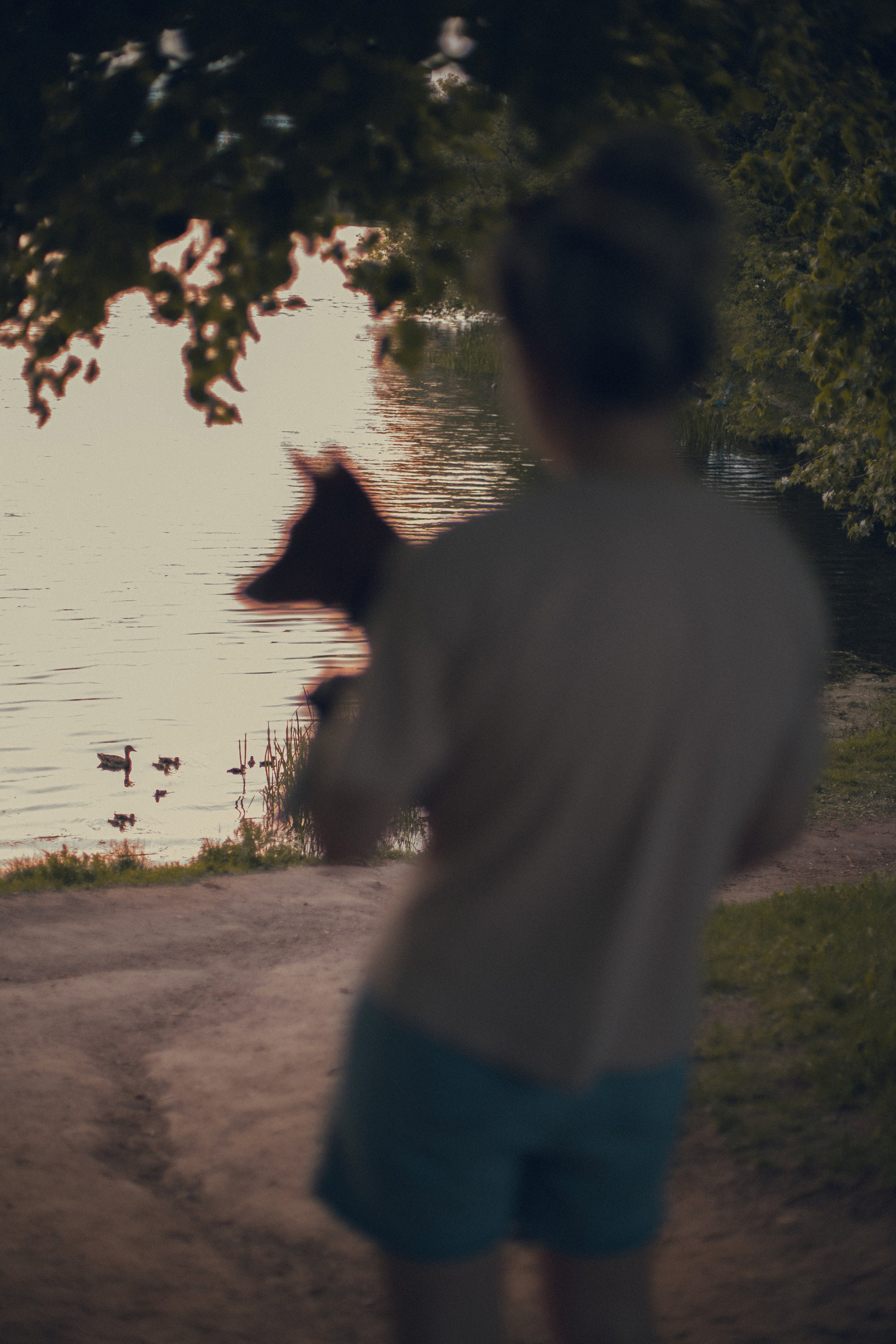 Фотосессия с питомцем. Бьюти- и портретный фотограф в Москве Полли Максимова. Создаю съёмки и делаю ретушь для брендов косметики и рекламы