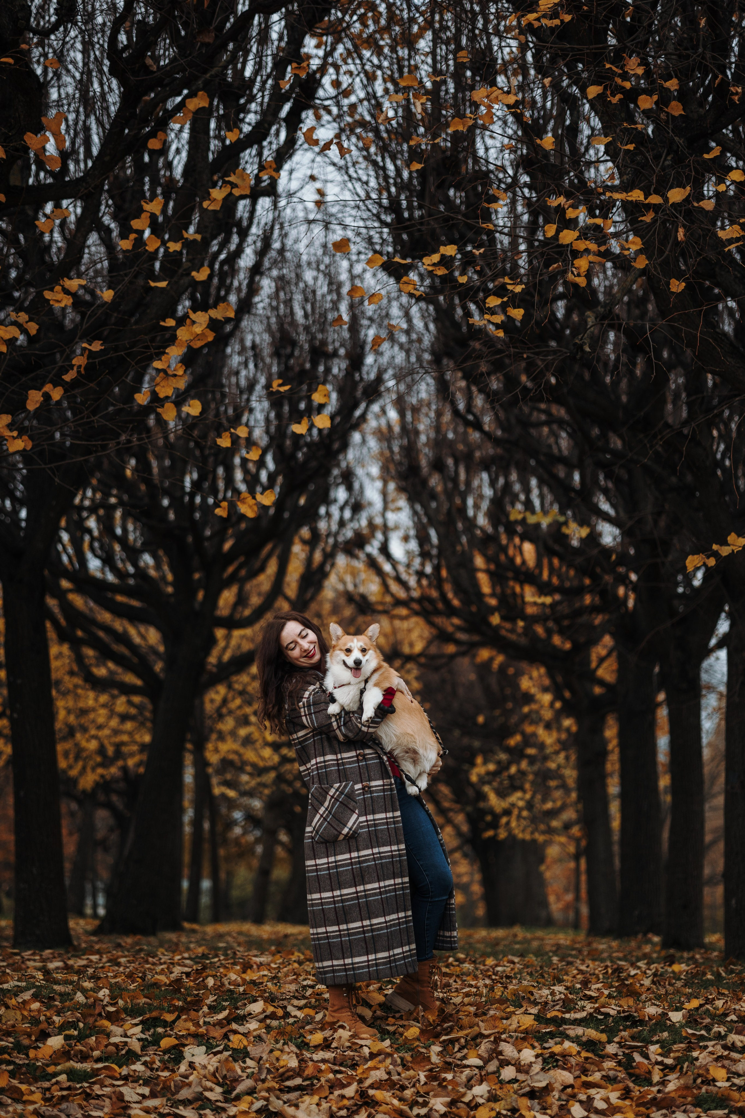 Юля и Терри. Фотограф — Анималист | Санкт-Петербург