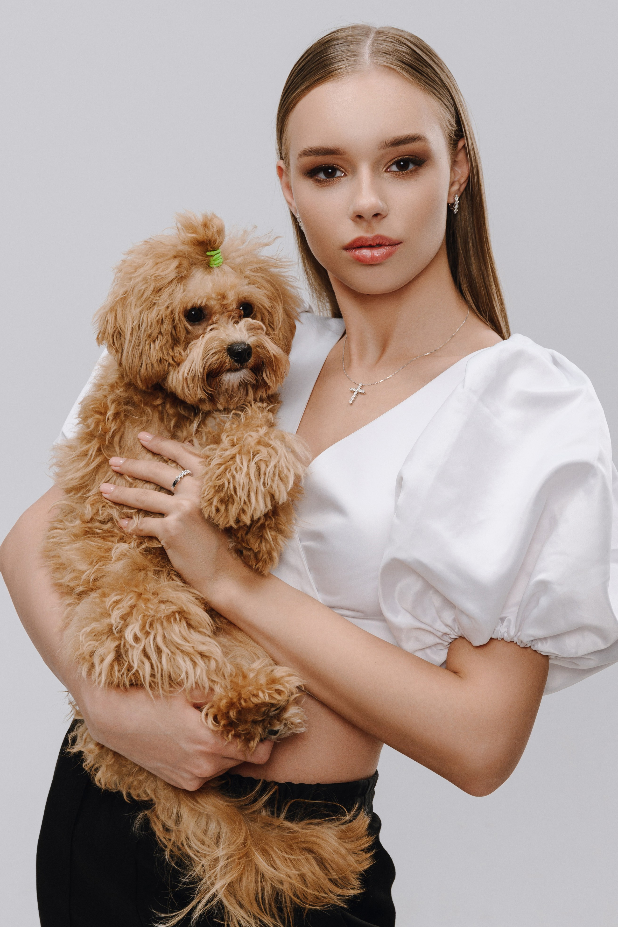 585 Золотой Евразия