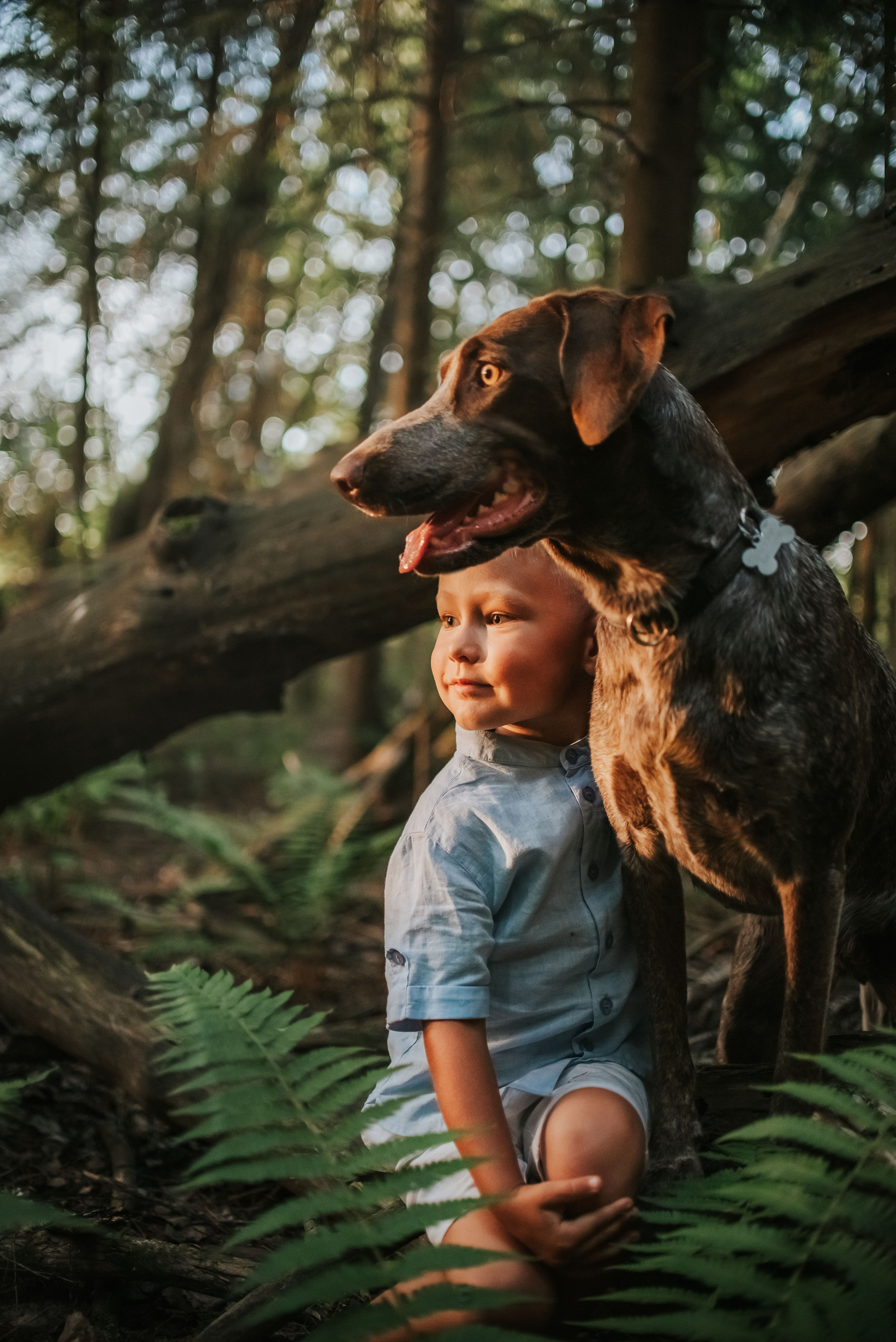 Витя и Кофи. Фотограф-анималист Валерия, Москва, Мытищи