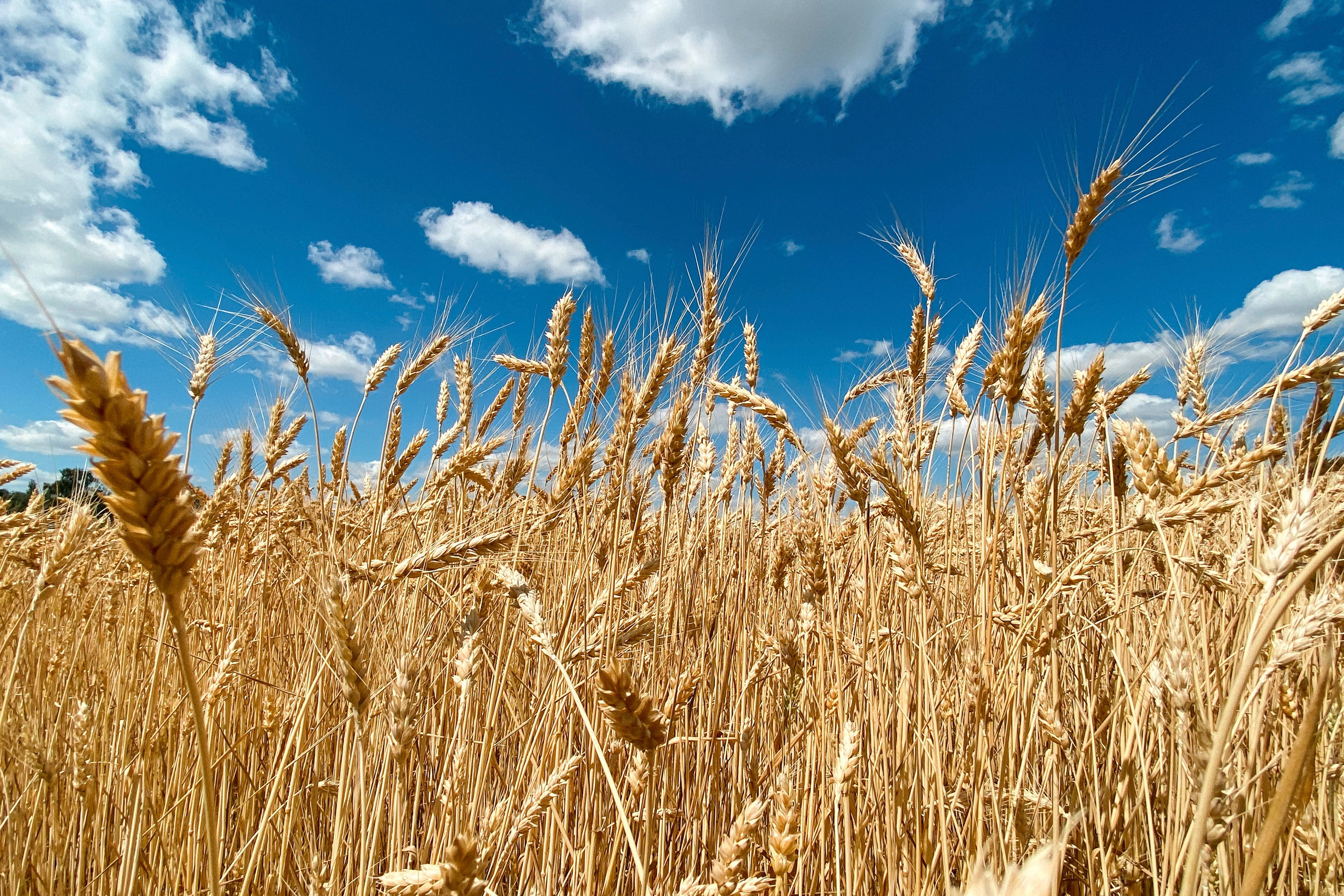 Природа. Команда фотографов Кристины Ивановой