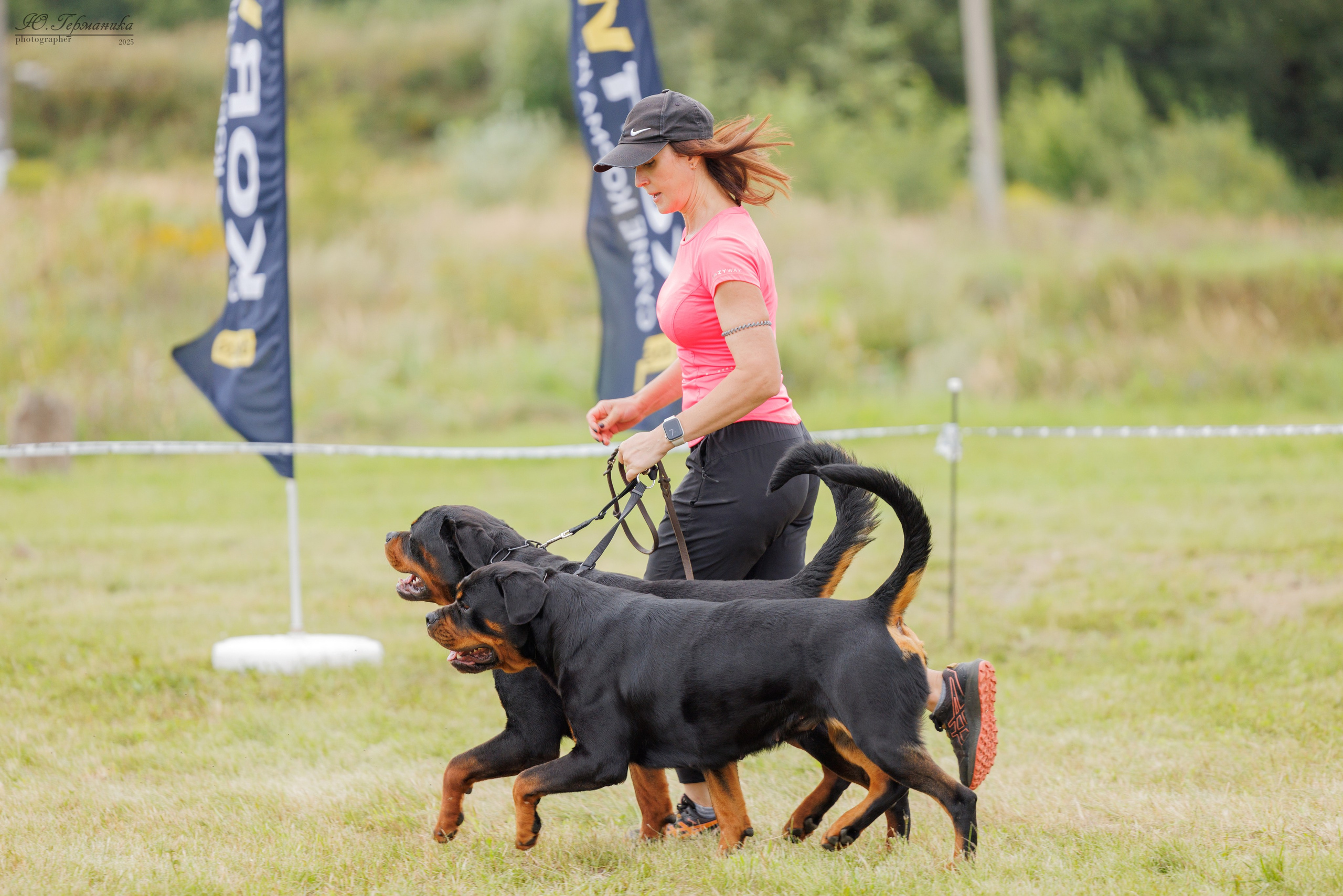 Рязань 2хмоно ротвейлеры 16-17.08.2025. Фотограф-анималист Юлия Германика