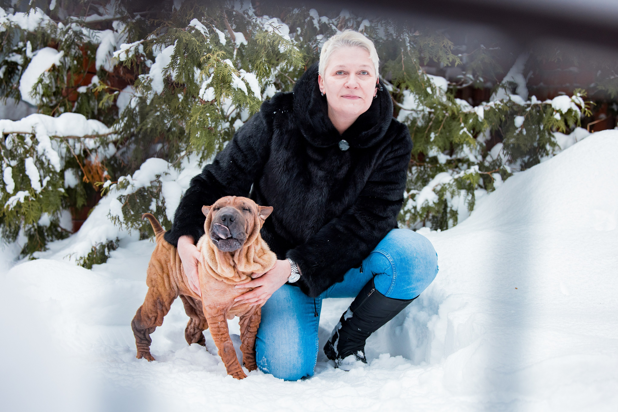 В гостях у шарпеев 16.01.2024. Фотограф-анималист Юлия Германика