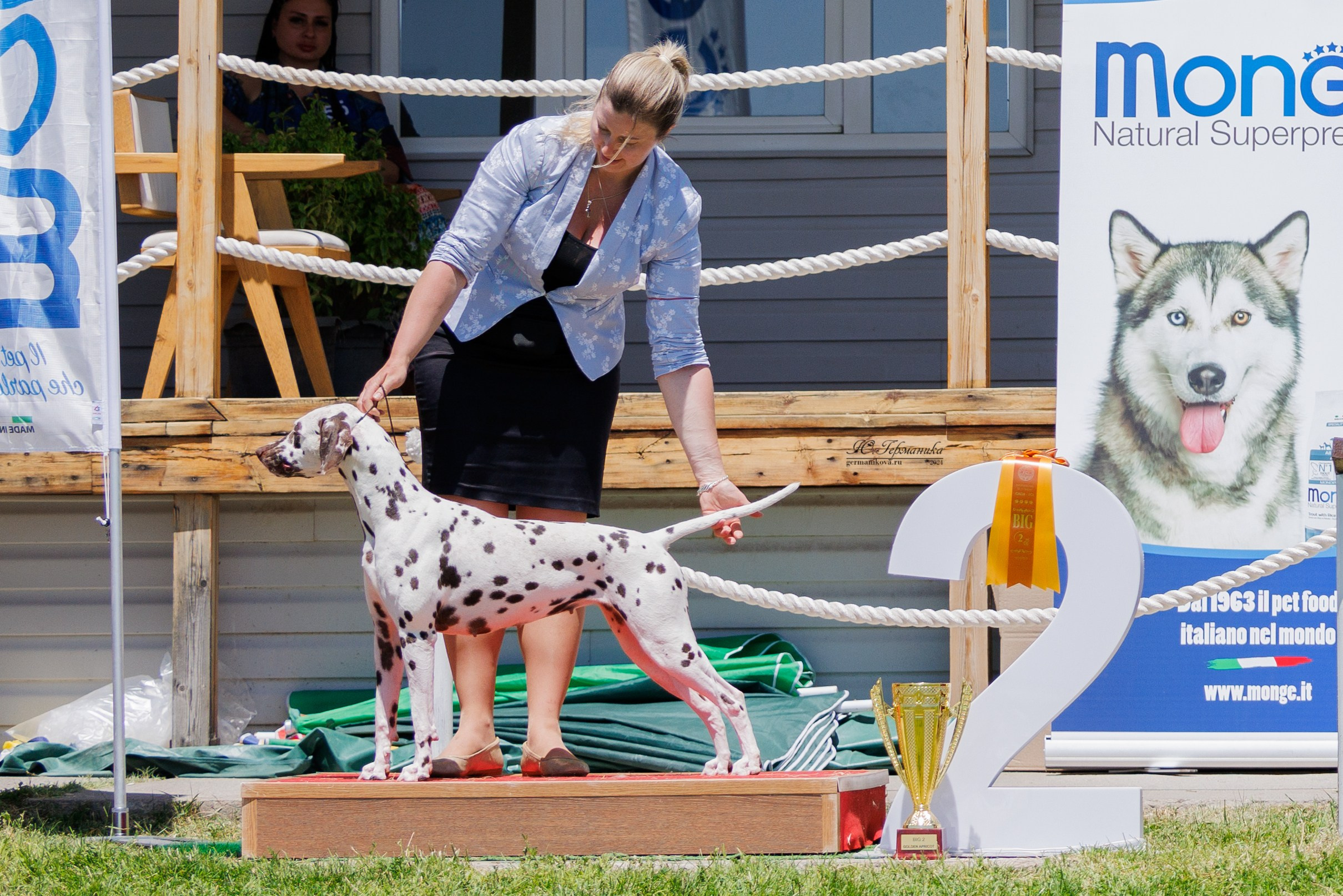 Ереван 3-5.06.2024. Фотограф-анималист Юлия Германика