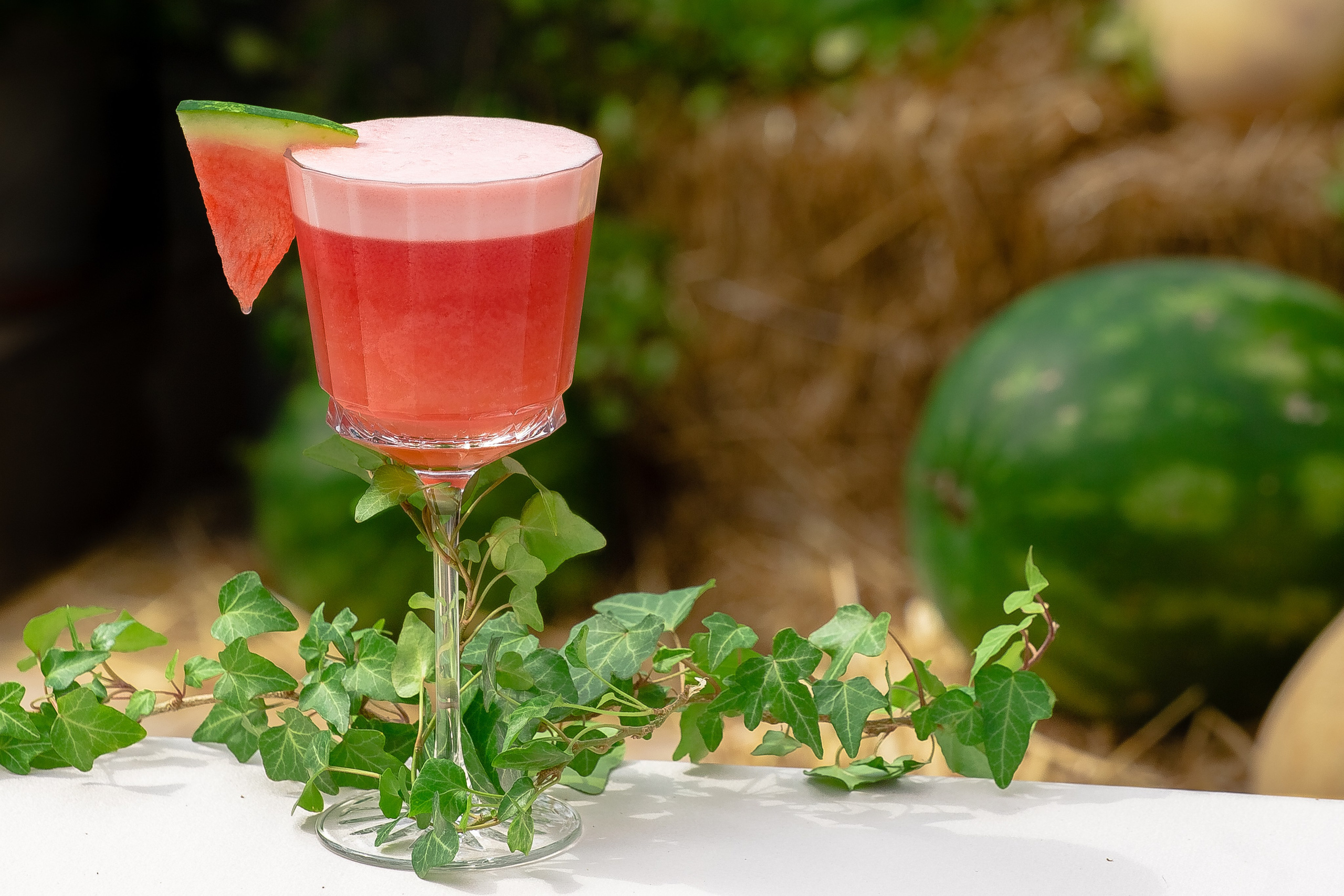 Фотосъемка для соцсетей — Instagram, VK | Николай Завалишин. NICKZAVALISHIN — Визуал который продаёт