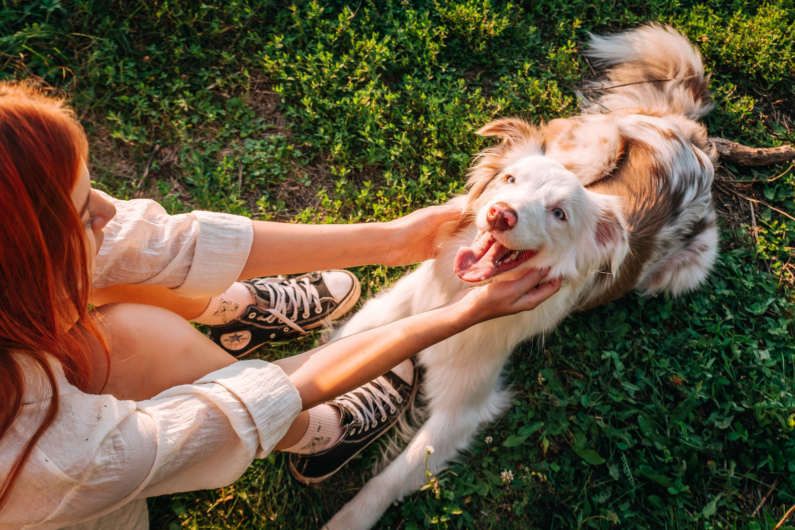 Лиза и Айви. Главная