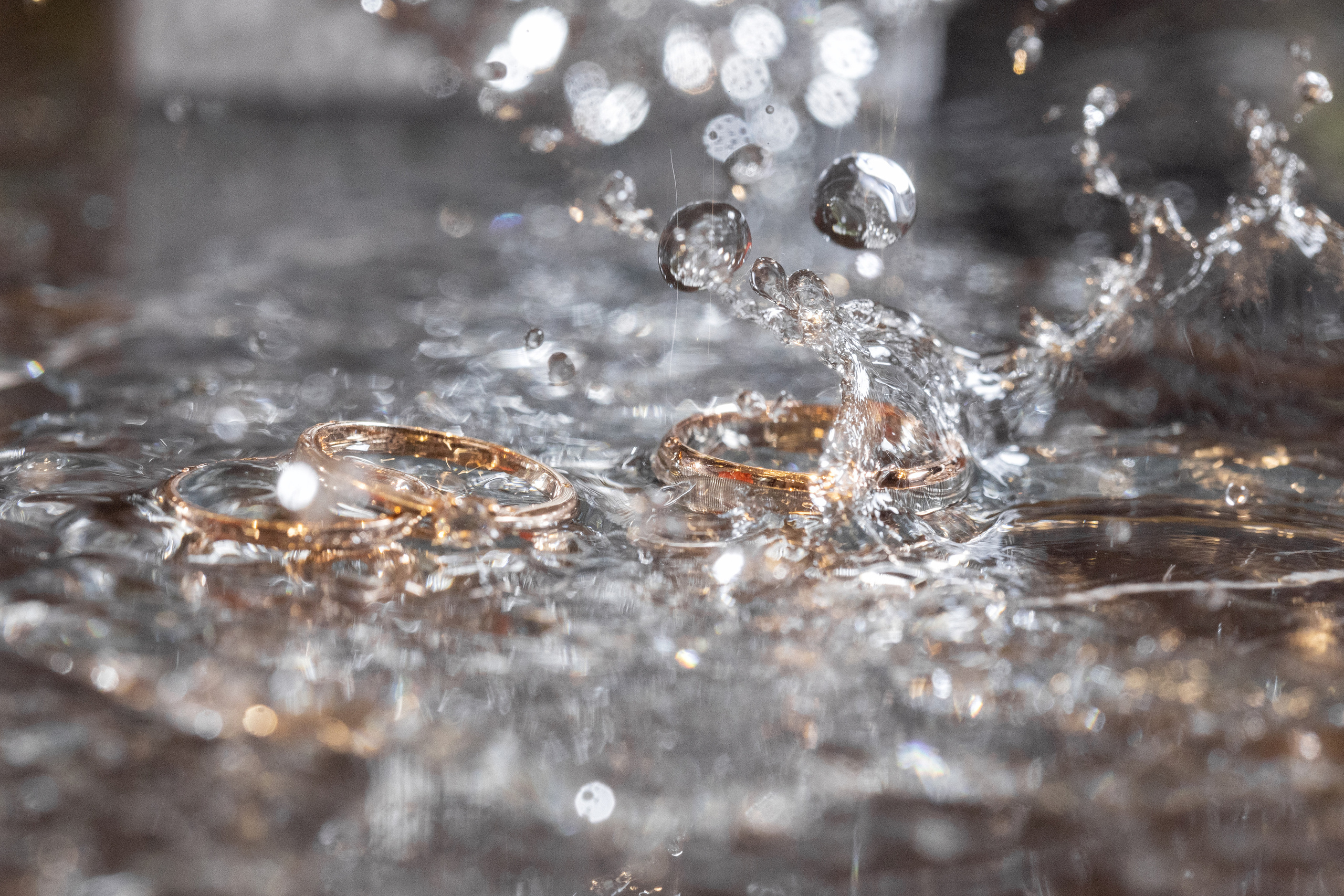 Свадьба Димы и Леры в Forest Symphony. Свадебный фотограф в Санкт-Петербурге и Москве