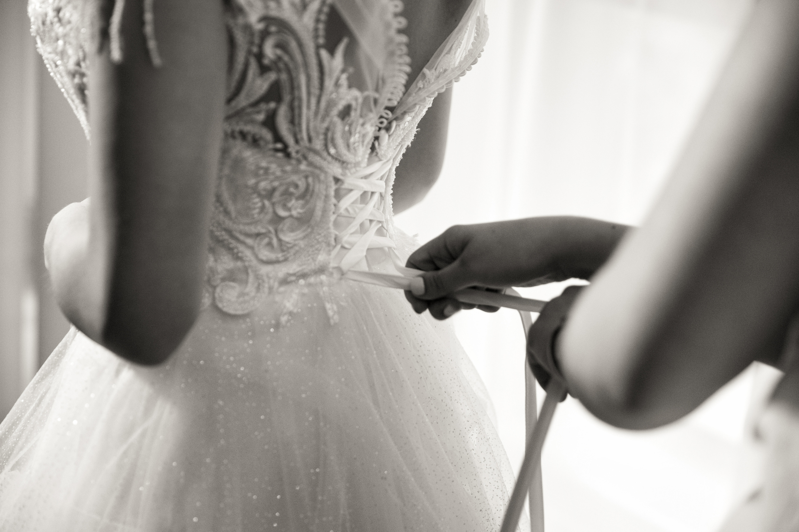 Свадьба Димы и Леры в Forest Symphony. Свадебный фотограф в Санкт-Петербурге и Москве