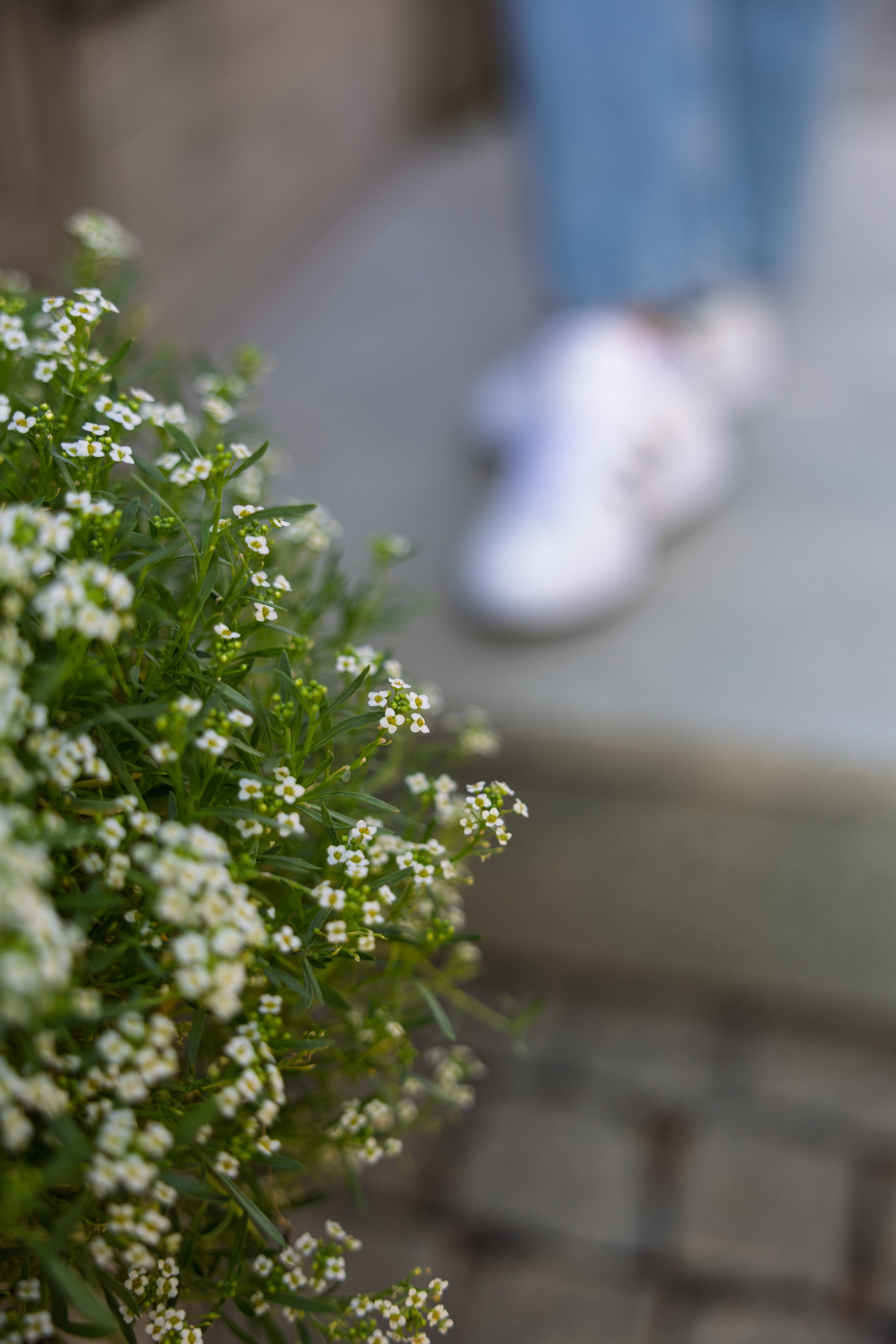 Отзывы. Alexeyrodimtsev