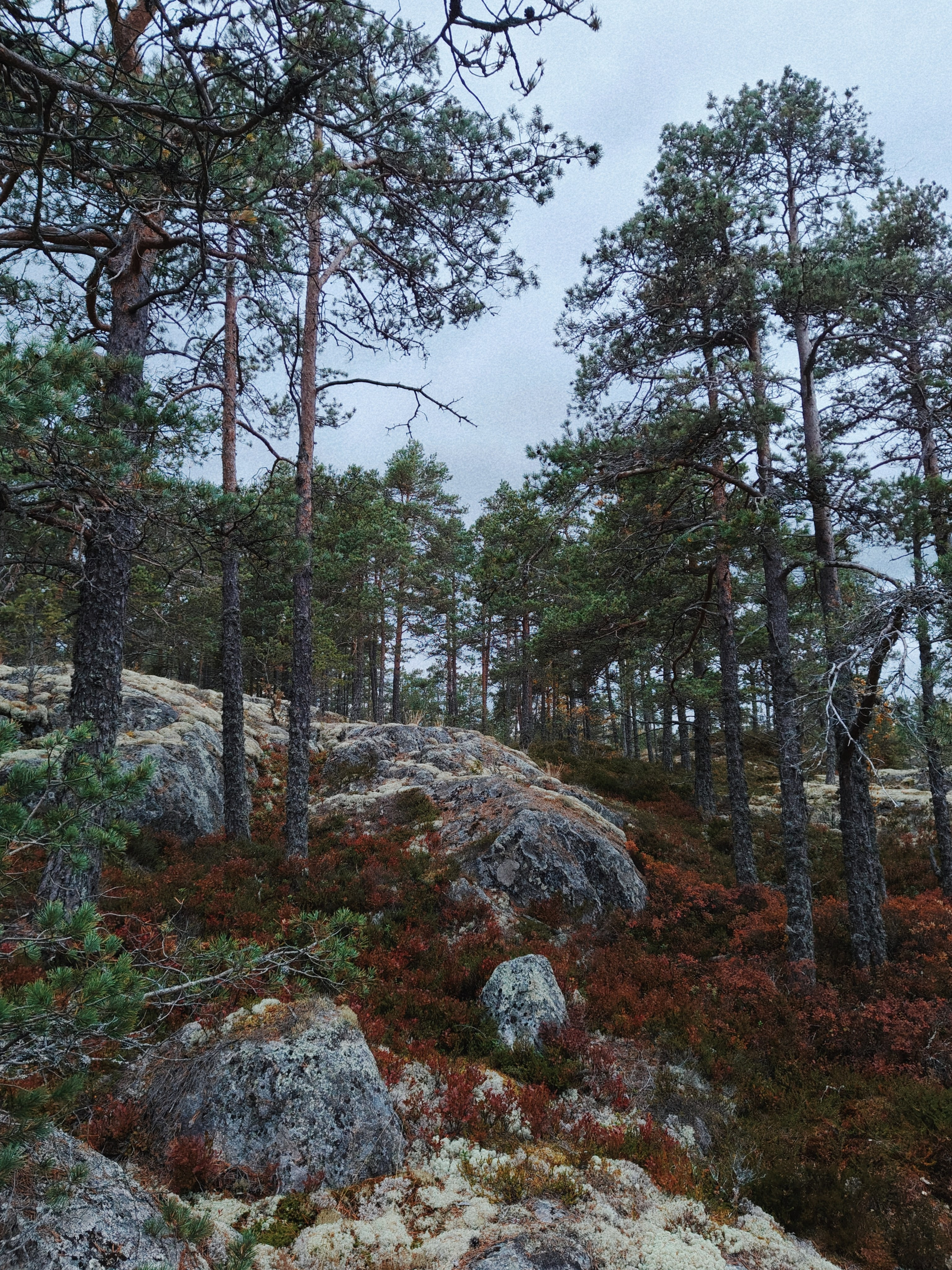 Сплав по Ладоге от Терву. Alimov | photo