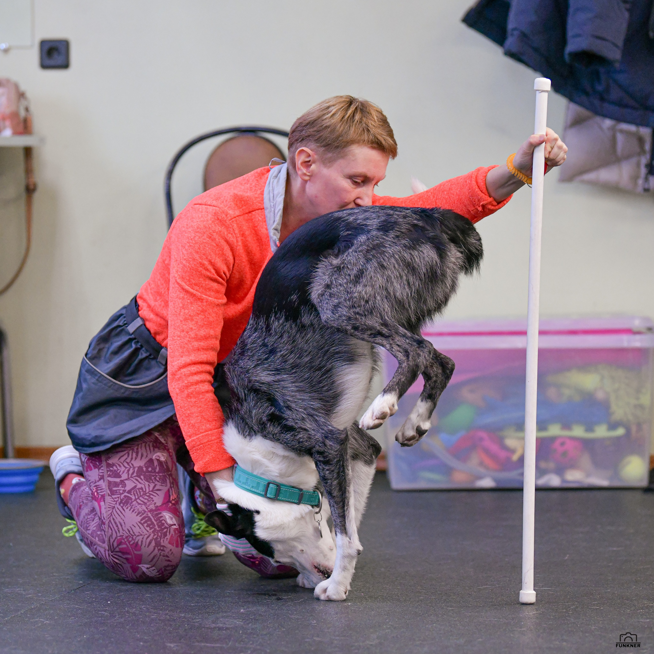 Кинологический клуб «Бодрый хвост». Свой взгляд через объектив