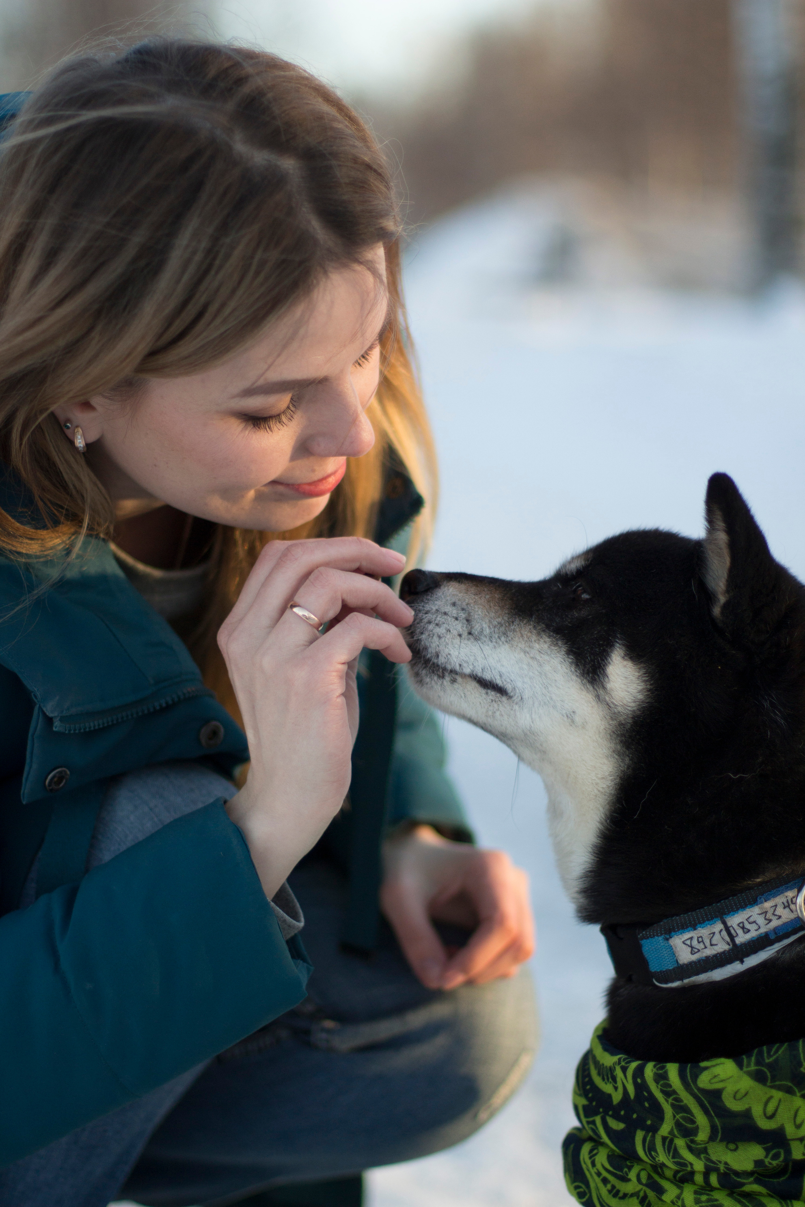 Съёмка с животными. Детский и семейный фотограф Северодвинск Архангельск Дашинка Слонова